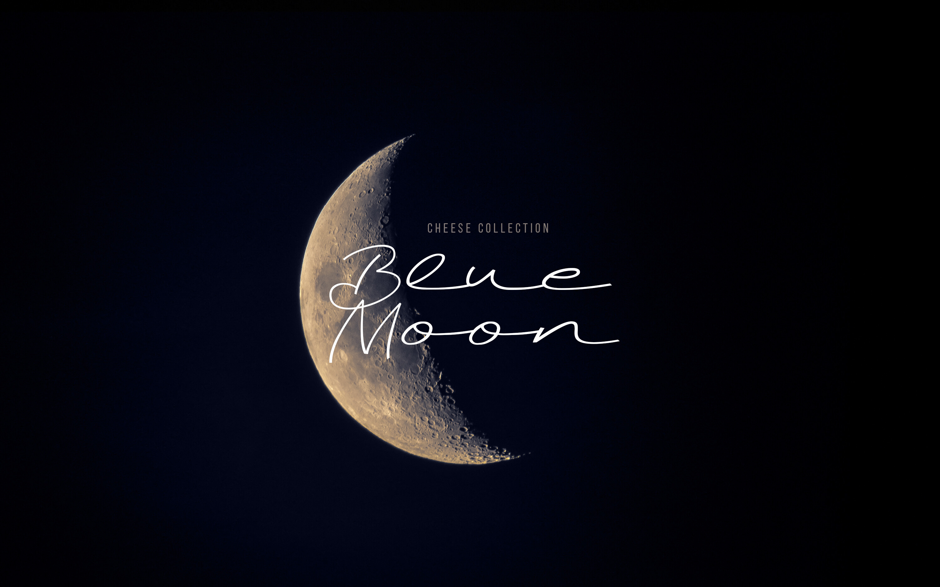 Blue Moon C H E E S E — Изображение №1 — Брендинг, Графика на Dprofile