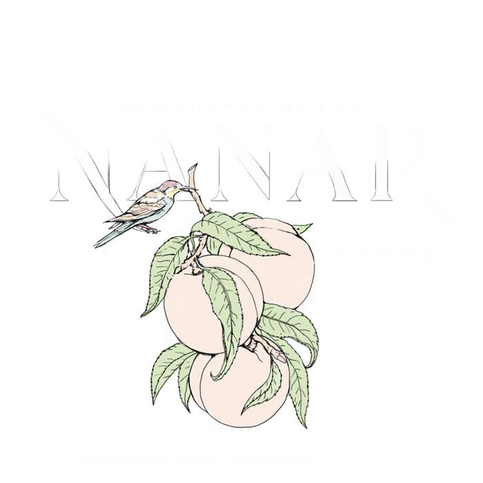 N A N A R fruit vodka — Изображение №17 — Брендинг, Иллюстрация на Dprofile
