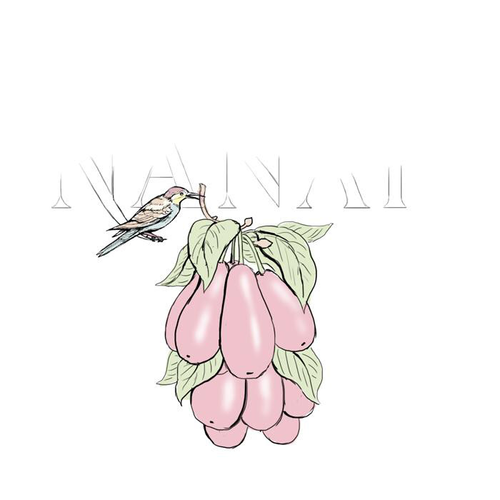 N A N A R fruit vodka — Изображение №16 — Брендинг, Иллюстрация на Dprofile