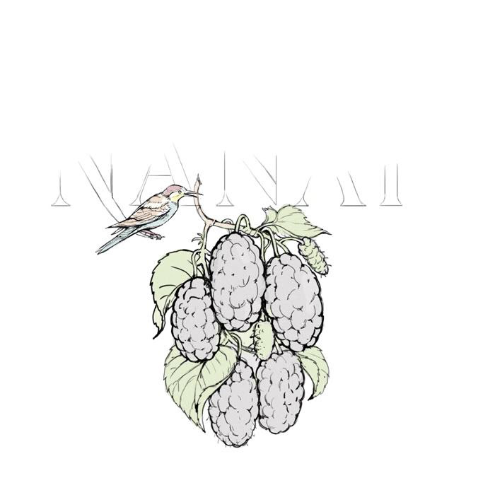 N A N A R fruit vodka — Изображение №18 — Брендинг, Иллюстрация на Dprofile