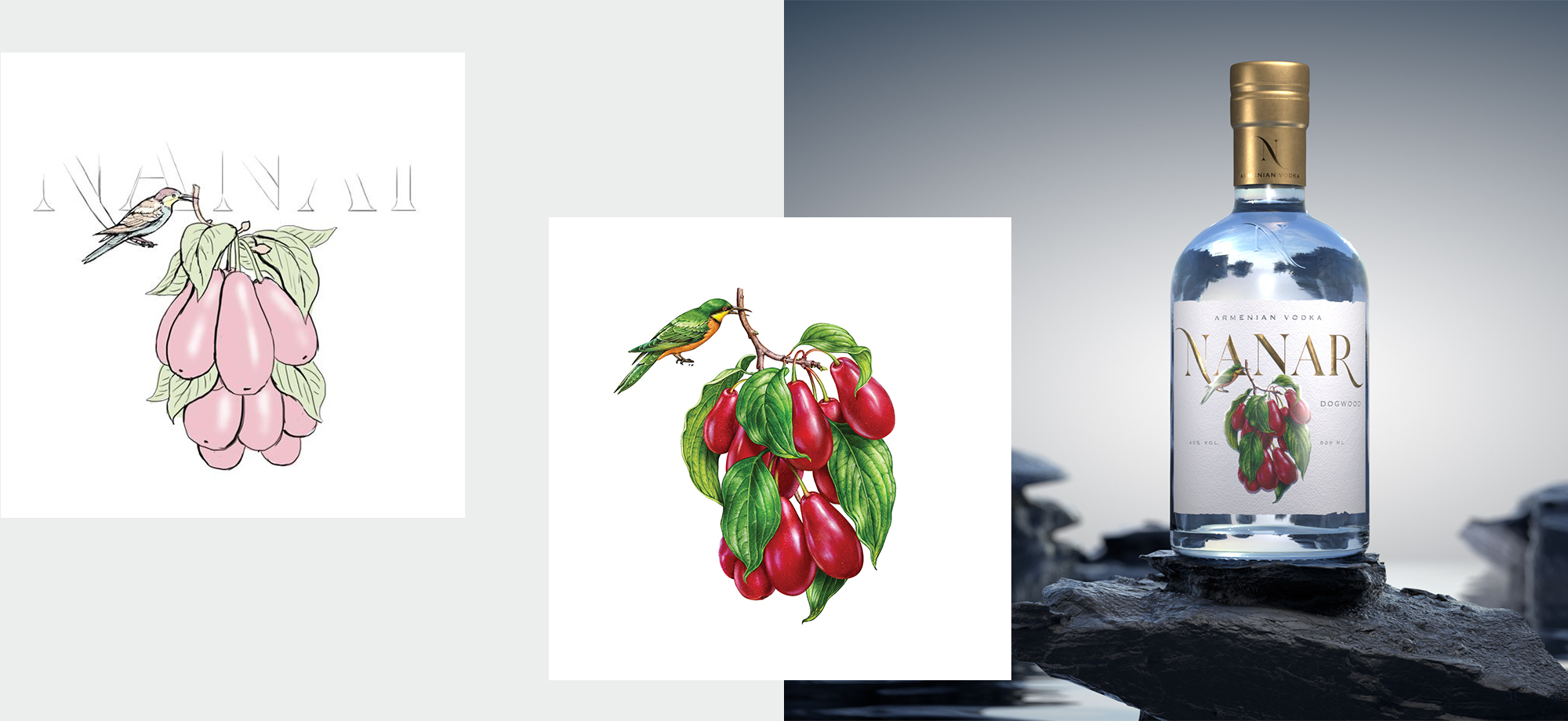 N A N A R fruit vodka — Изображение №20 — Брендинг, Иллюстрация на Dprofile