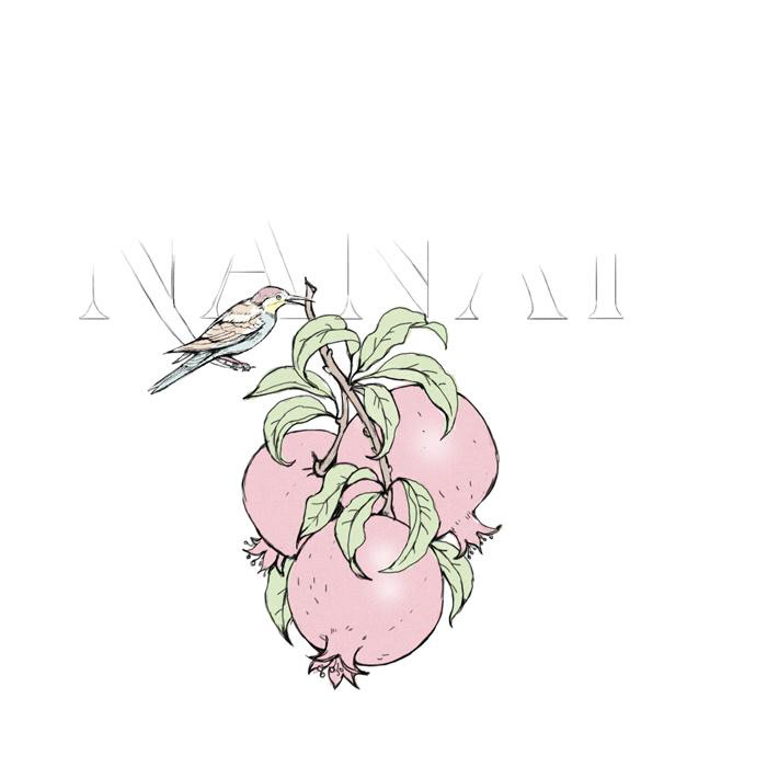 N A N A R fruit vodka — Изображение №15 — Брендинг, Иллюстрация на Dprofile