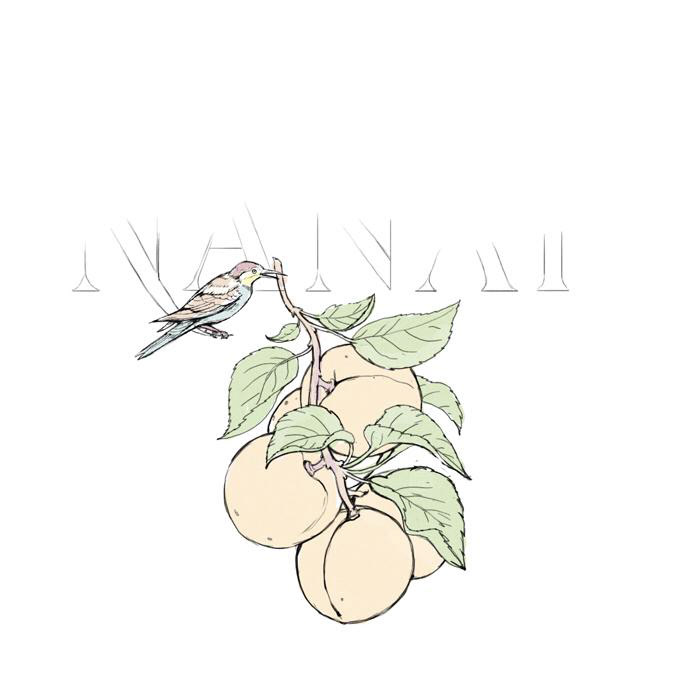 N A N A R fruit vodka — Изображение №13 — Брендинг, Иллюстрация на Dprofile