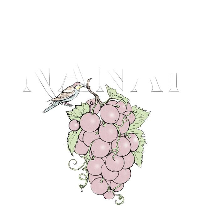 N A N A R fruit vodka — Изображение №14 — Брендинг, Иллюстрация на Dprofile
