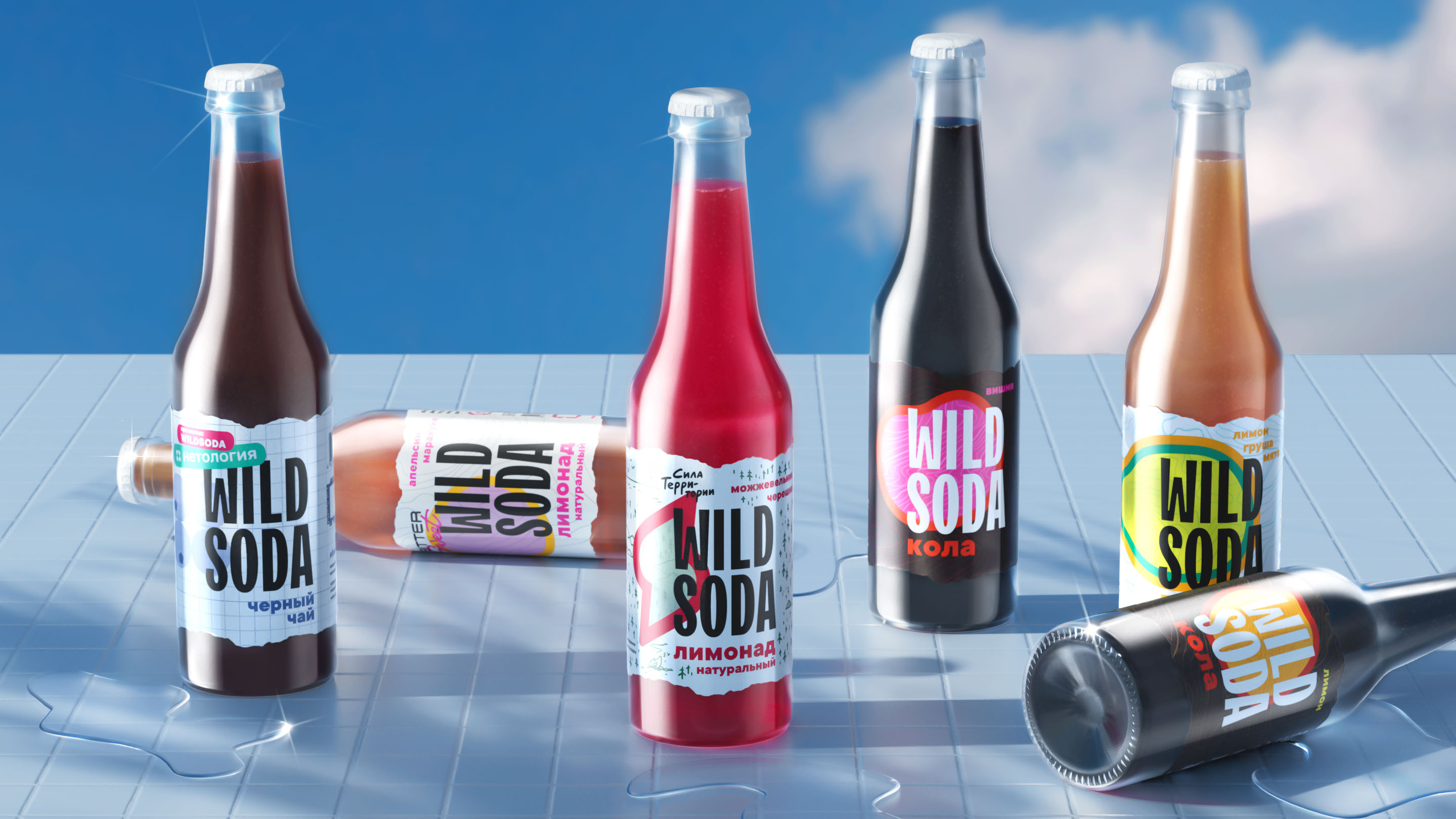 Wild Soda — Изображение №3 — Брендинг на Dprofile