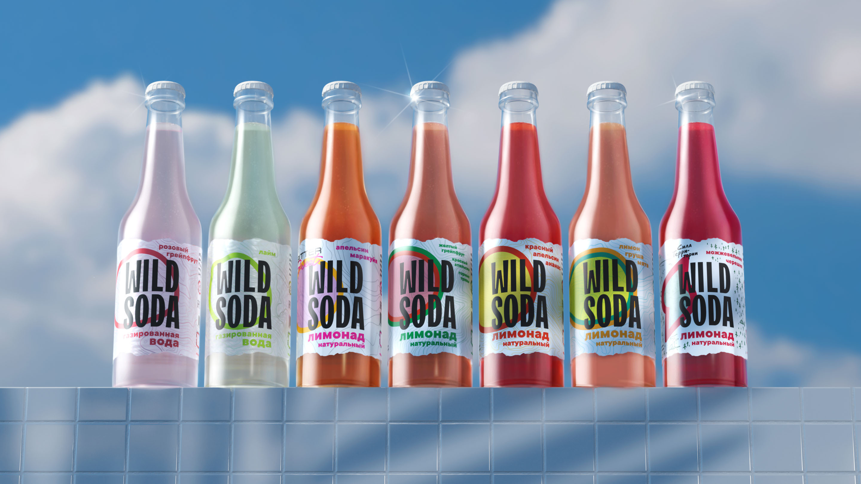 Wild Soda — Изображение №1 — Брендинг на Dprofile