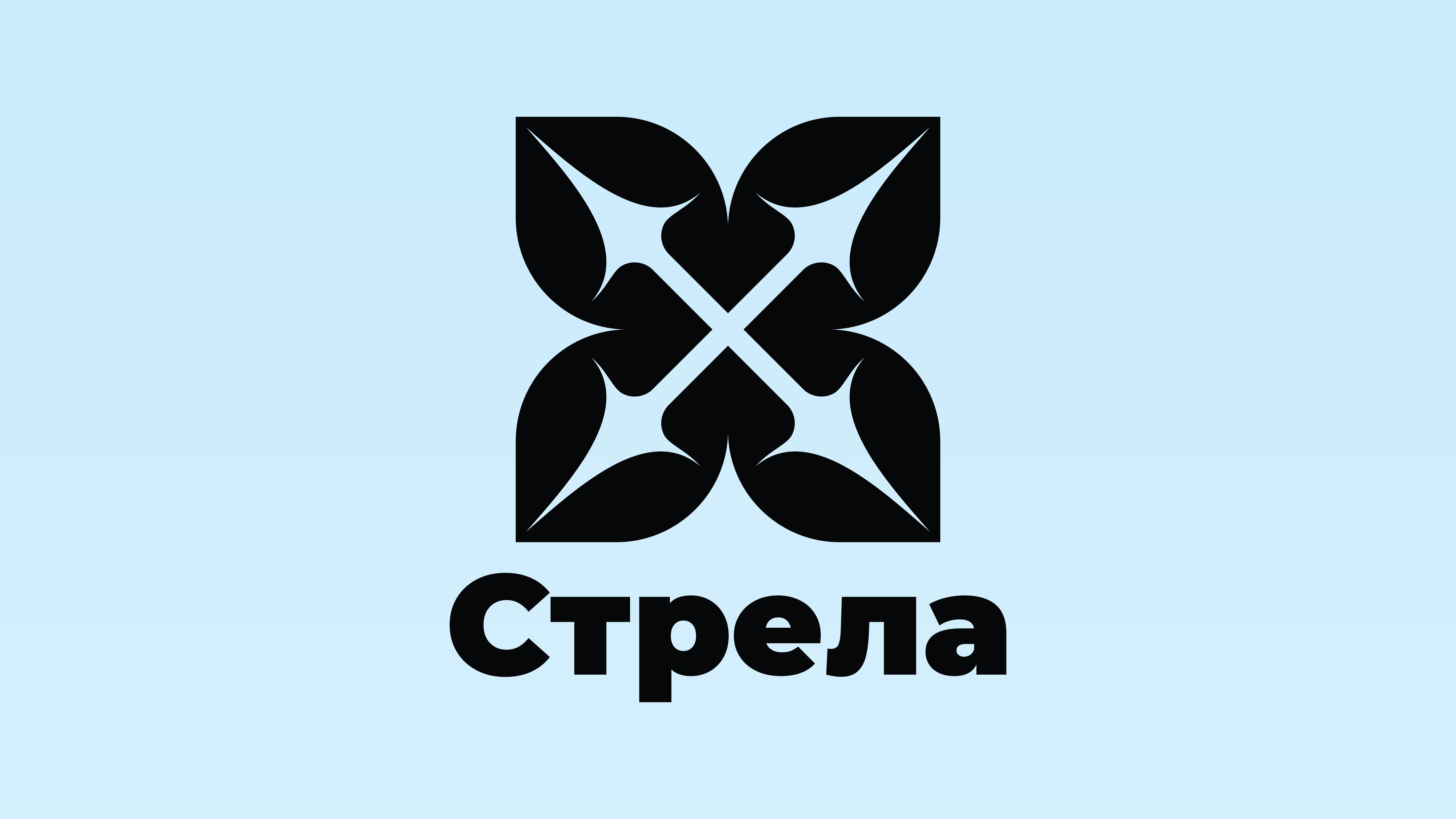 Digital-конференция «Стрела» — Изображение №1 — Брендинг, Маркетинг на Dprofile