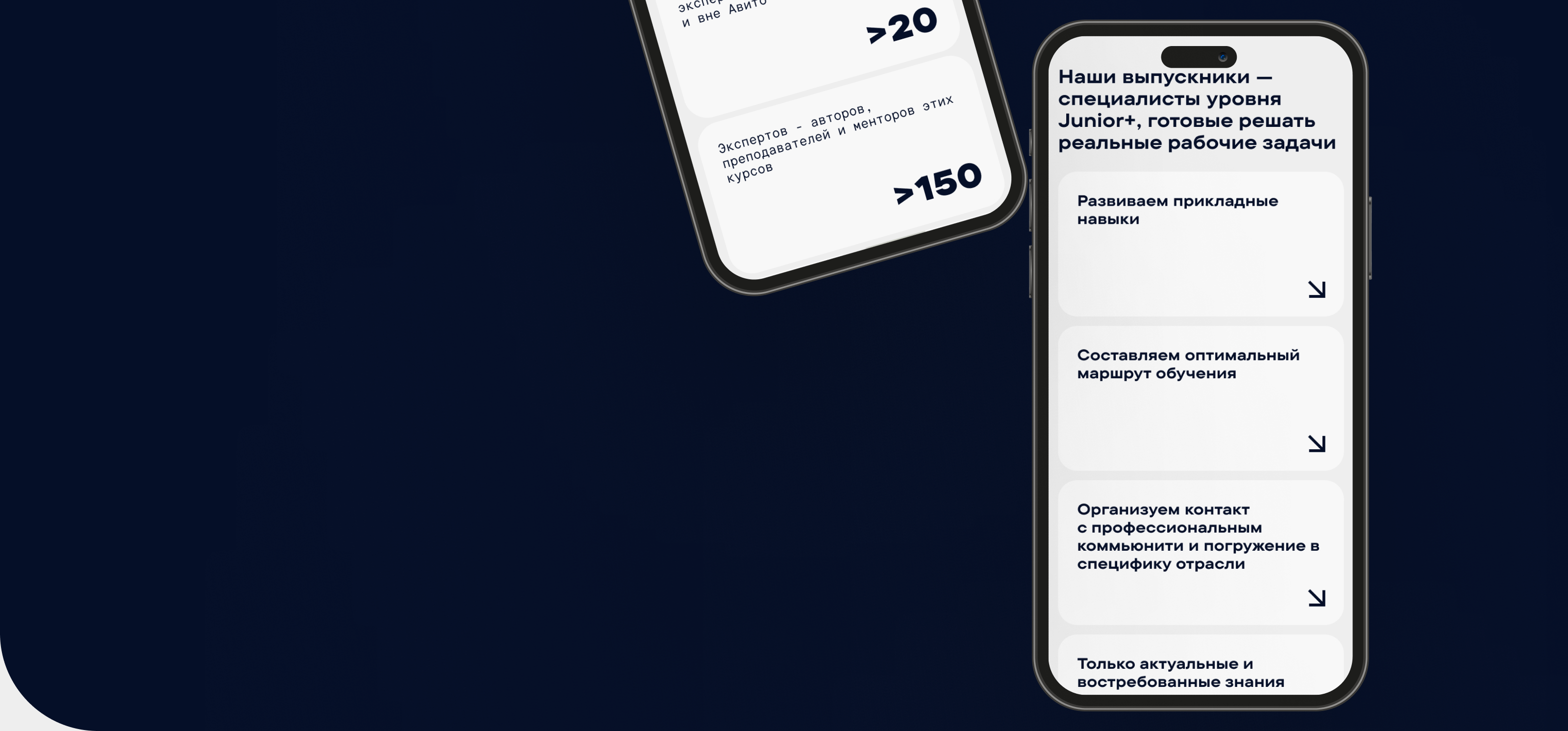 Академия Аналитиков Авито — Изображение №2 — Интерфейсы на Dprofile