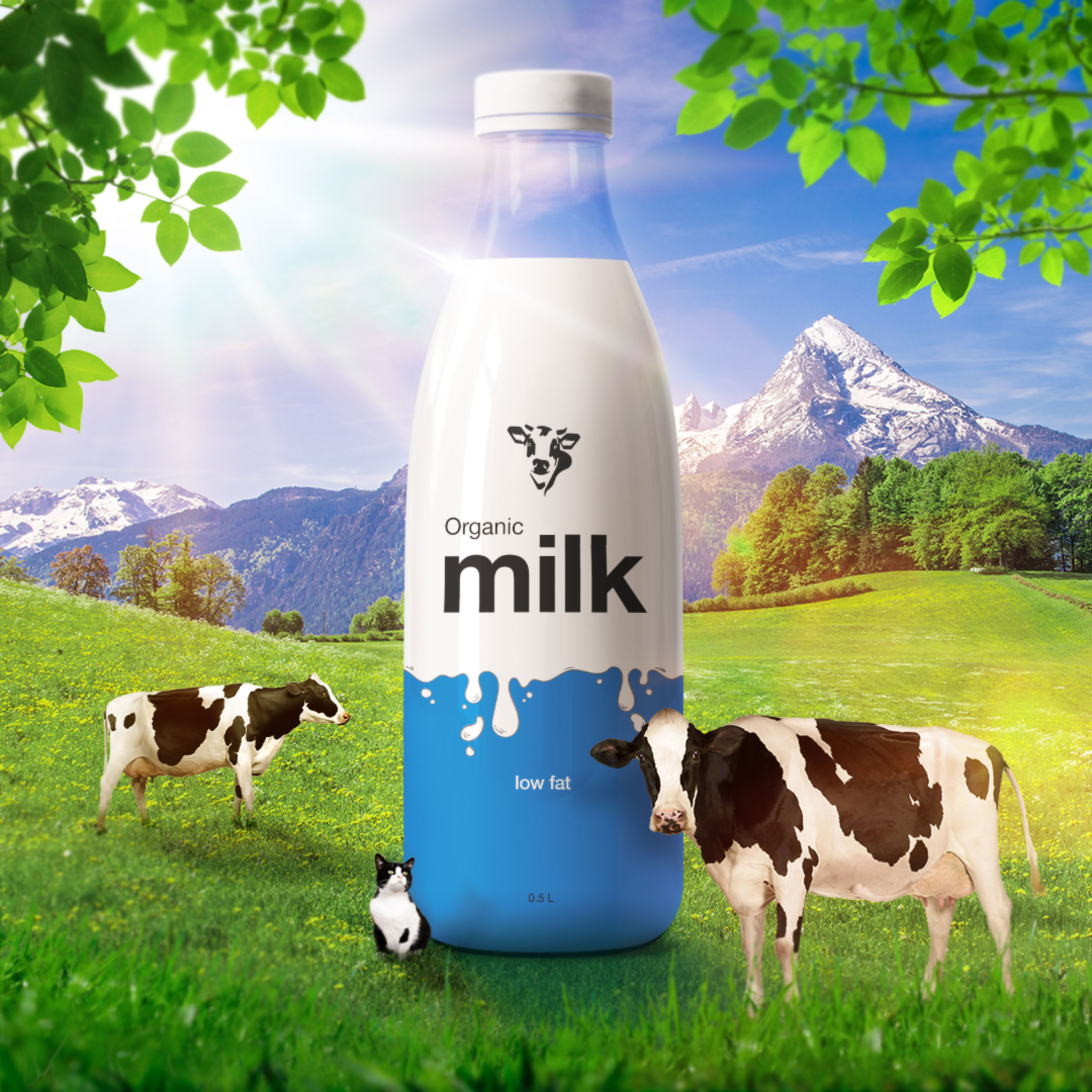 Key Visual milk (креативная реклама молока) — Изображение №1 — Маркетинг на Dprofile