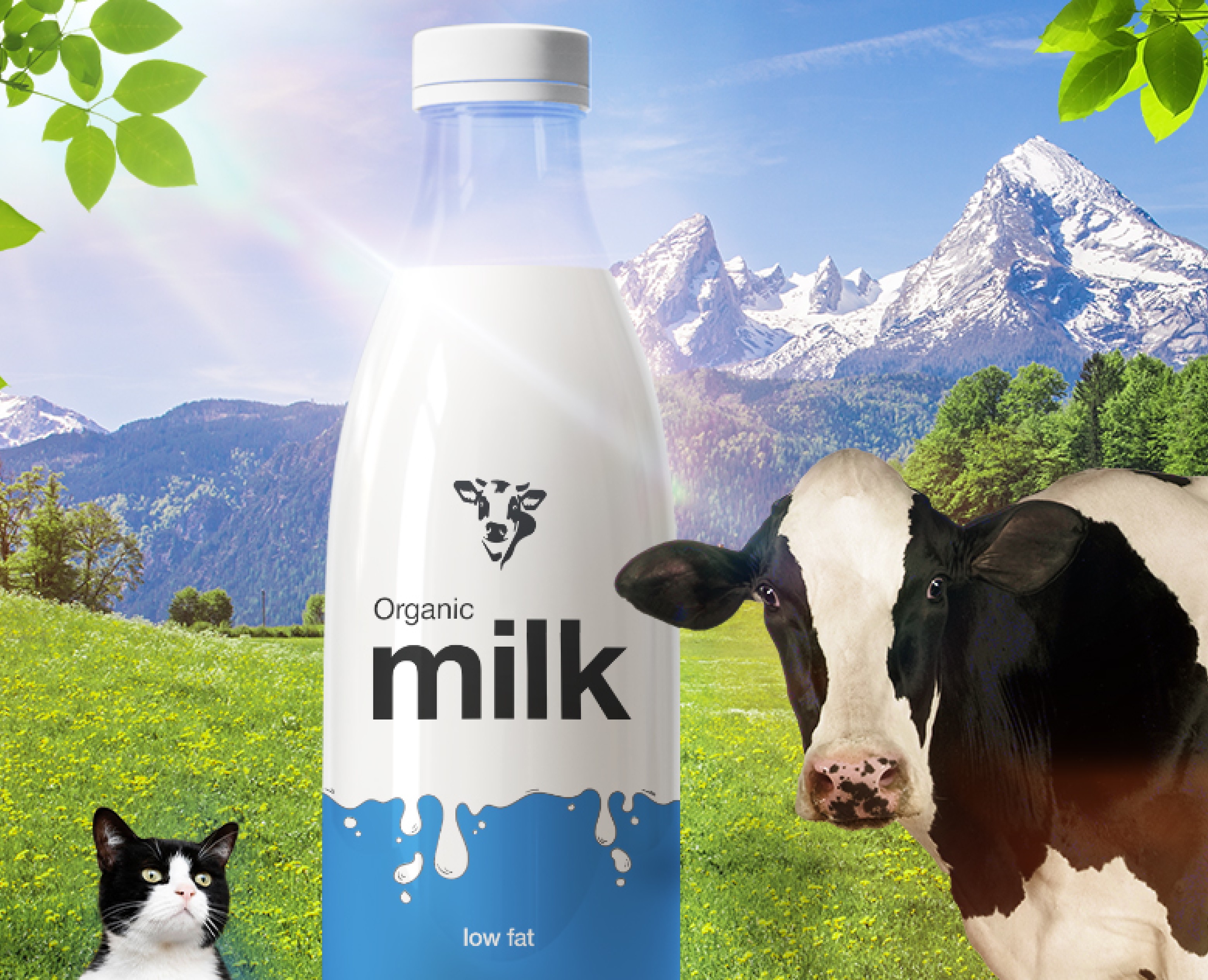Key Visual milk (креативная реклама молока) — Маркетинг на Dprofile