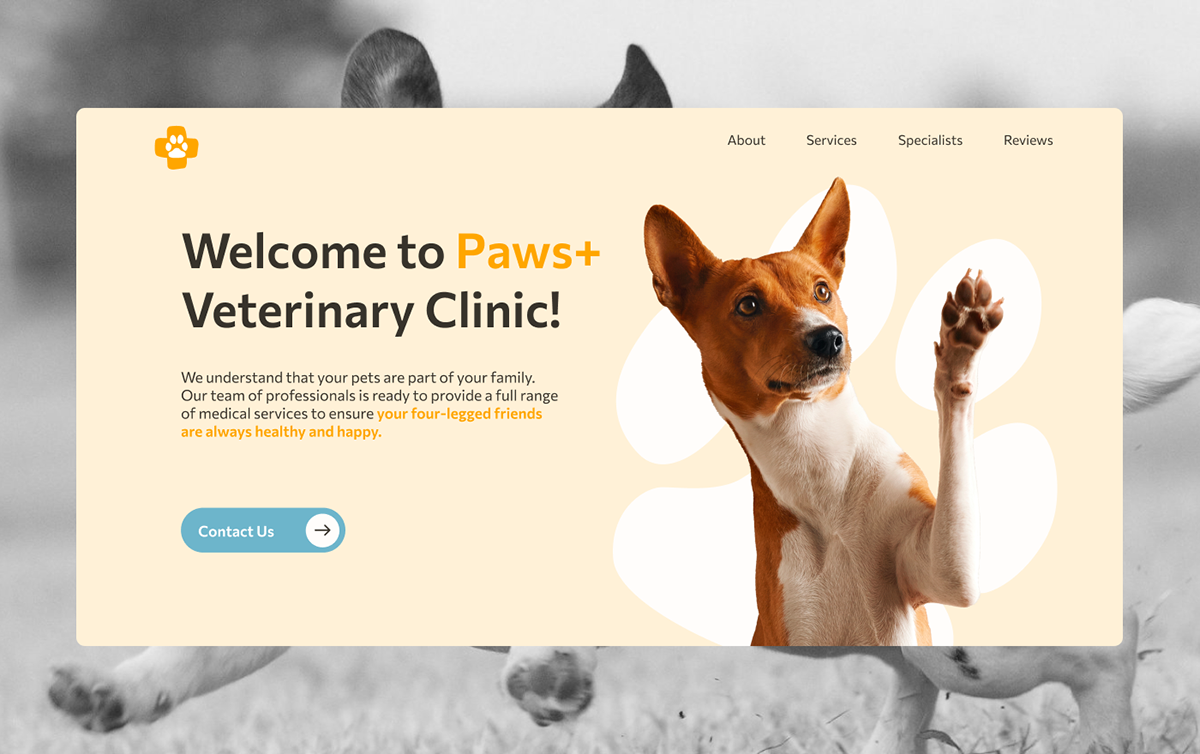 Paws+ — Изображение №1 — Интерфейсы, Брендинг на Dprofile