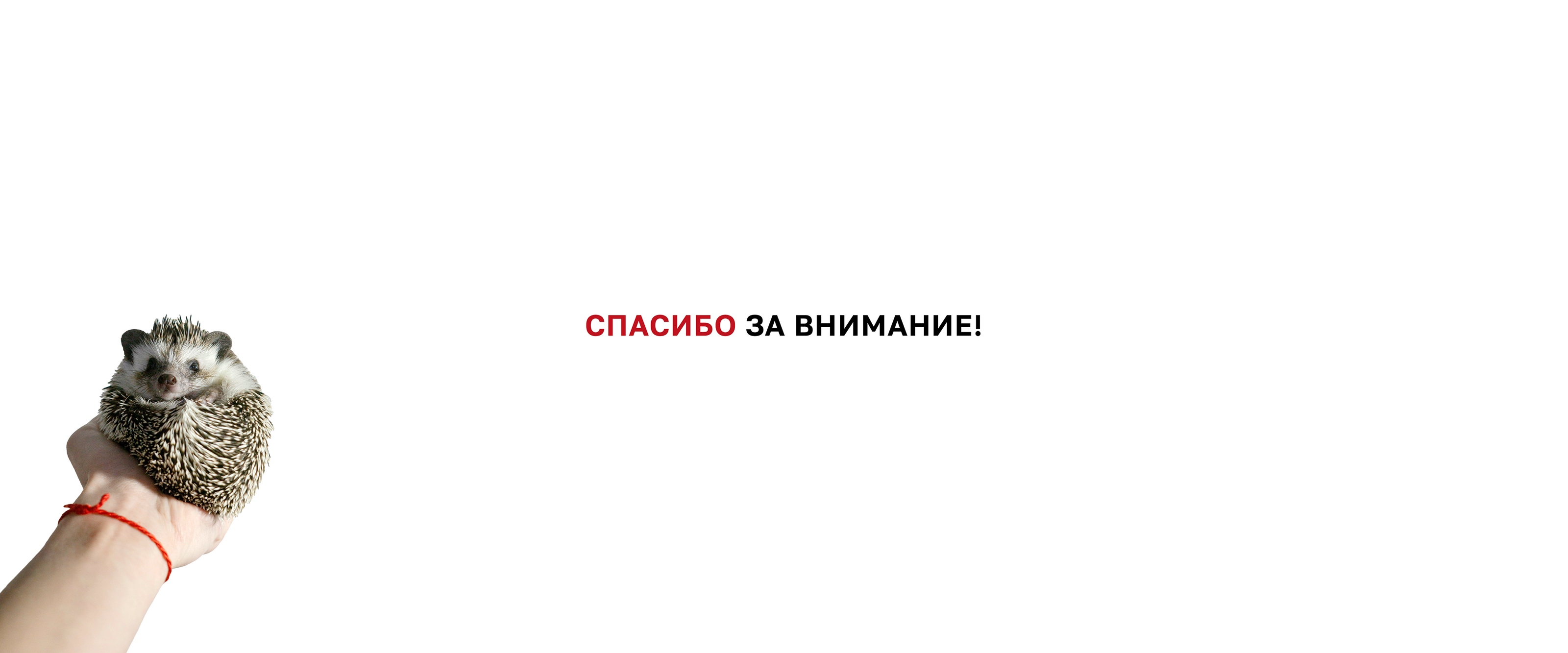 Фирменный стиль для кафе-бара | Identity — Изображение №18 — Брендинг, Графика на Dprofile