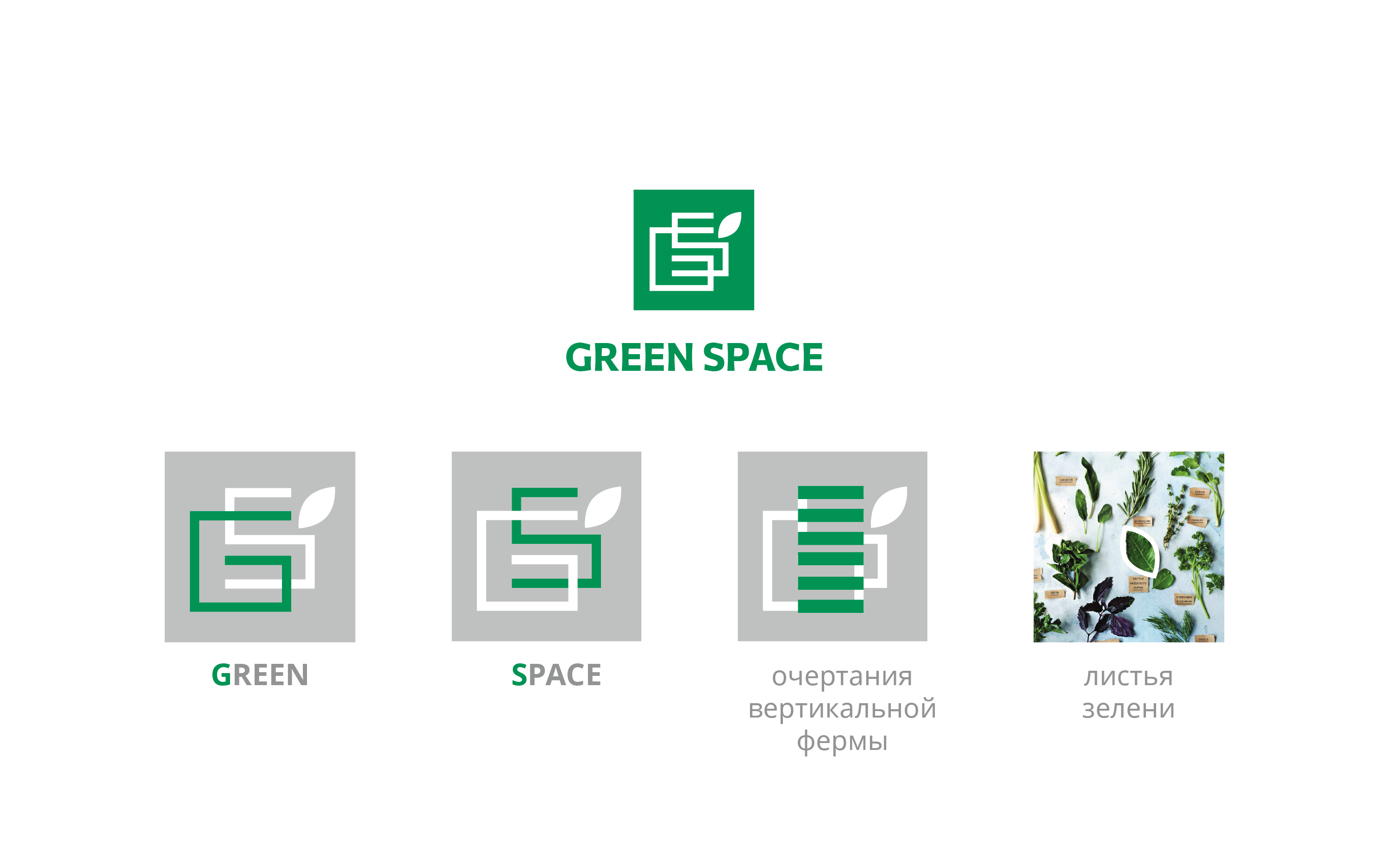 Green Space | разработка логотипа бренда — Изображение №2 — Брендинг на Dprofile