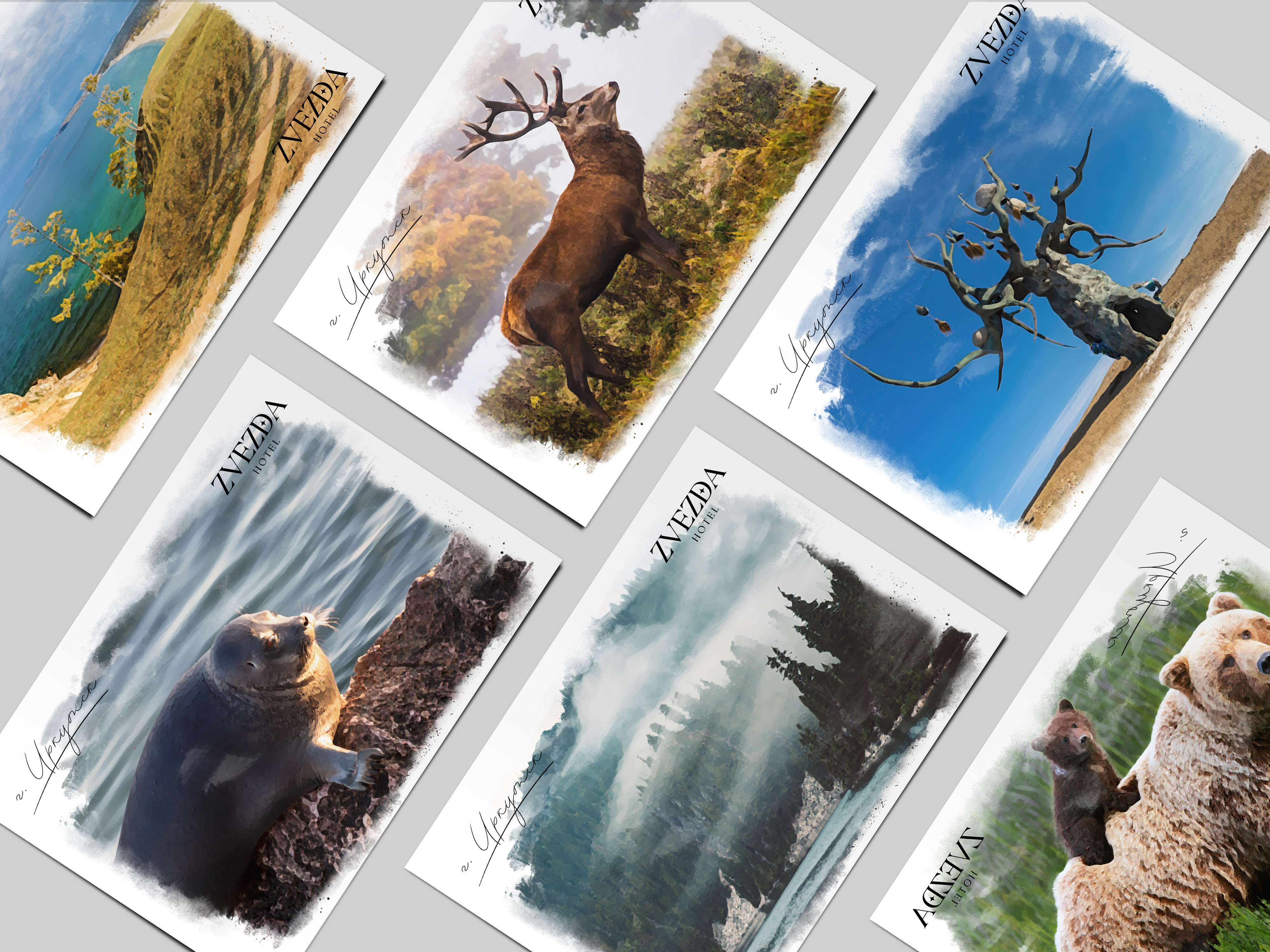 Серия открыток для отеля «ZVEZDA» — Изображение №1 — Брендинг, Иллюстрация на Dprofile