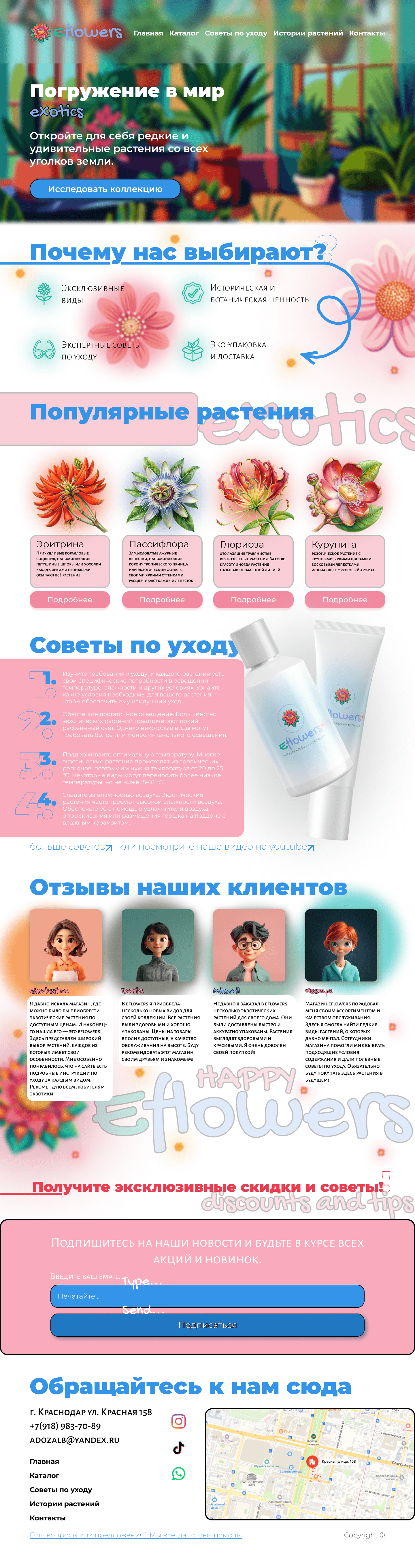 EFLOWERS - unusual plant store — Изображение №2 — Брендинг на Dprofile