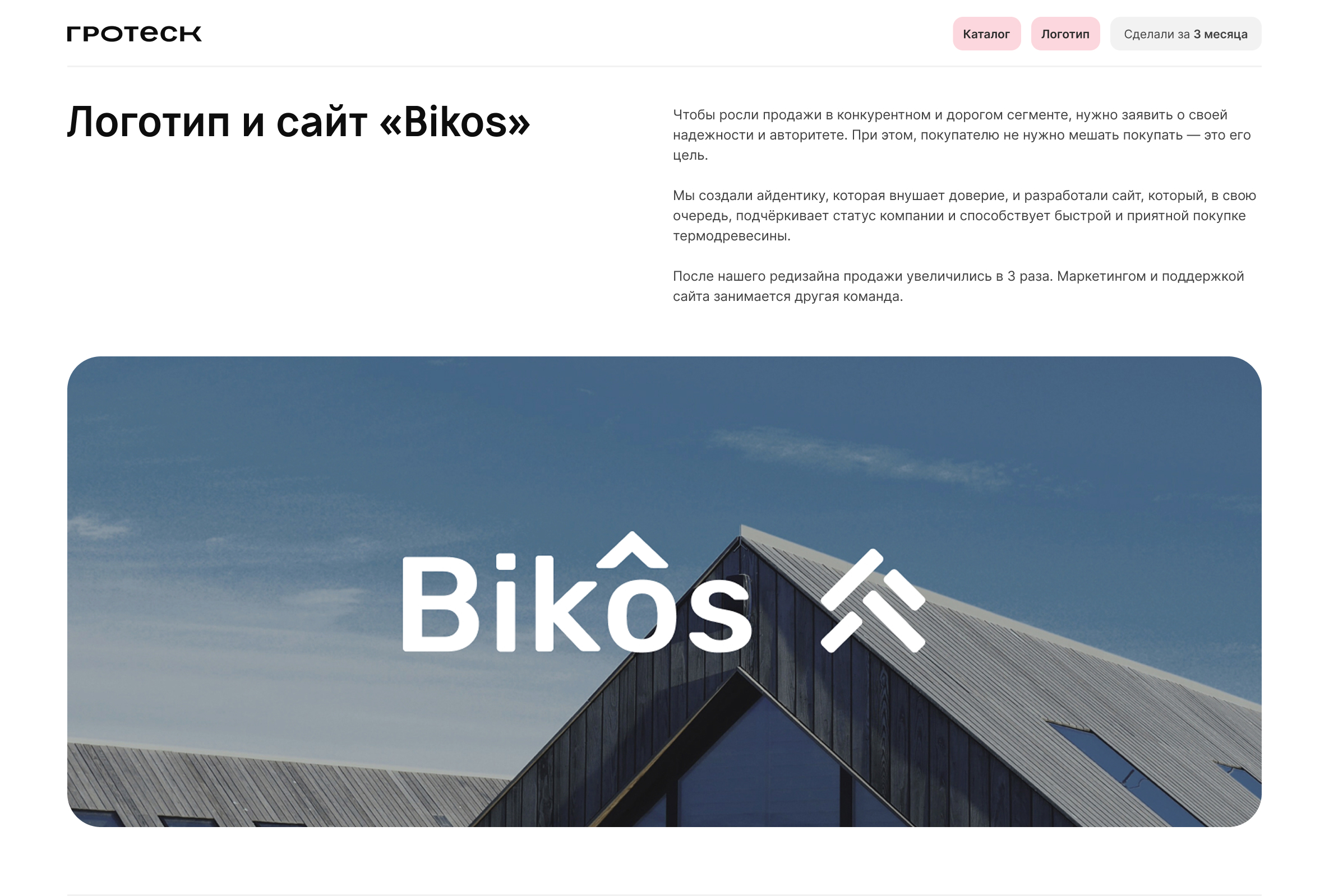 Логотип и сайт «Bikos» — Изображение №1 — Интерфейсы, Брендинг на Dprofile