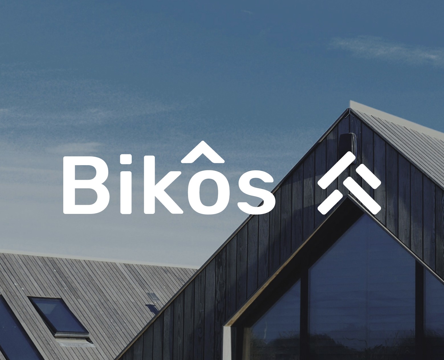 Логотип и сайт «Bikos» — Интерфейсы, Брендинг на Dprofile