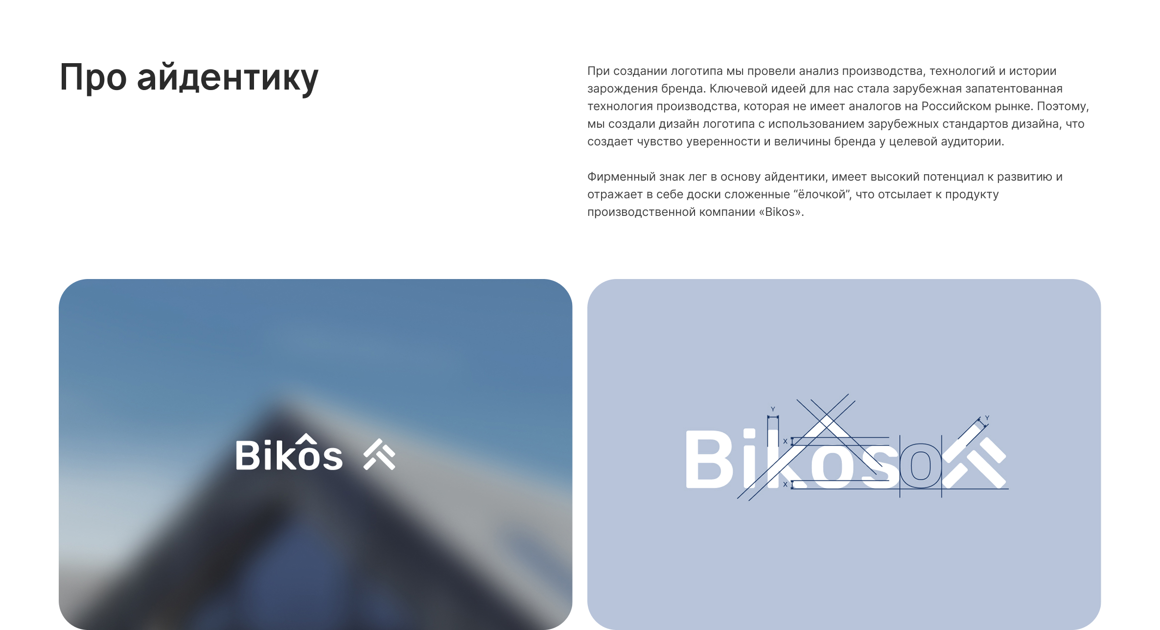 Логотип и сайт «Bikos» — Изображение №3 — Интерфейсы, Брендинг на Dprofile