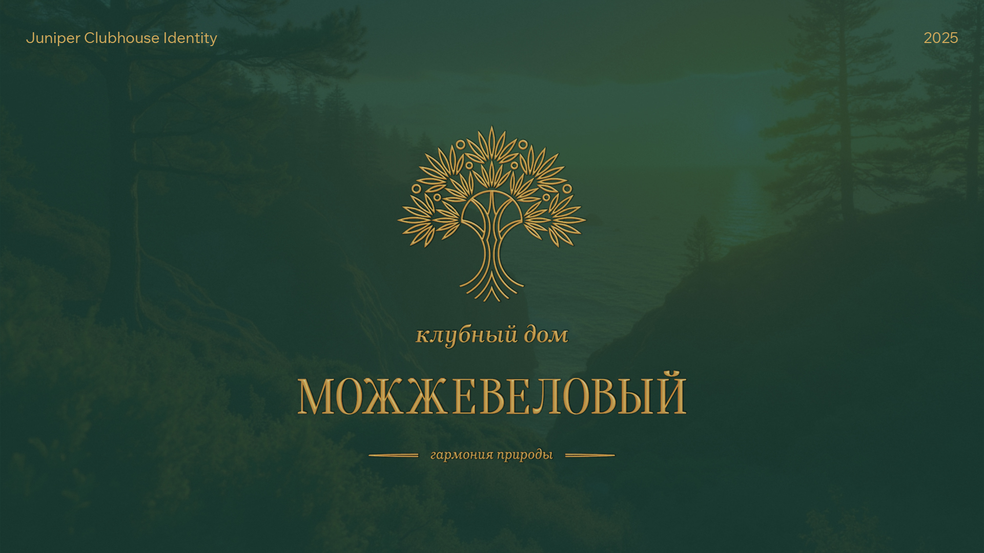 Клубный дом «Можжевеловый» — Изображение №1 — Брендинг, Графика на Dprofile