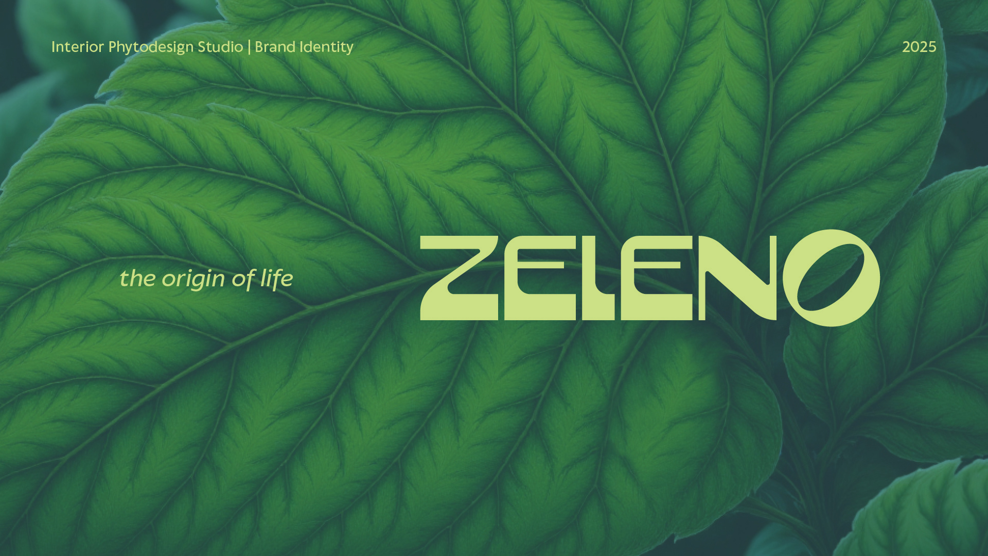 Zeleno | Фирменный стиль — Изображение №1 — Брендинг, Графика на Dprofile