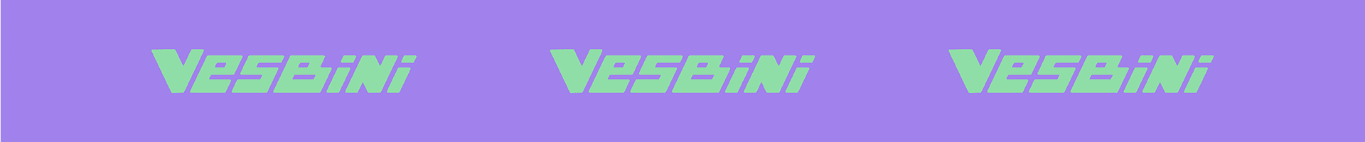 Vesbini | Фирменный стиль — Изображение №13 — Брендинг, Графика на Dprofile