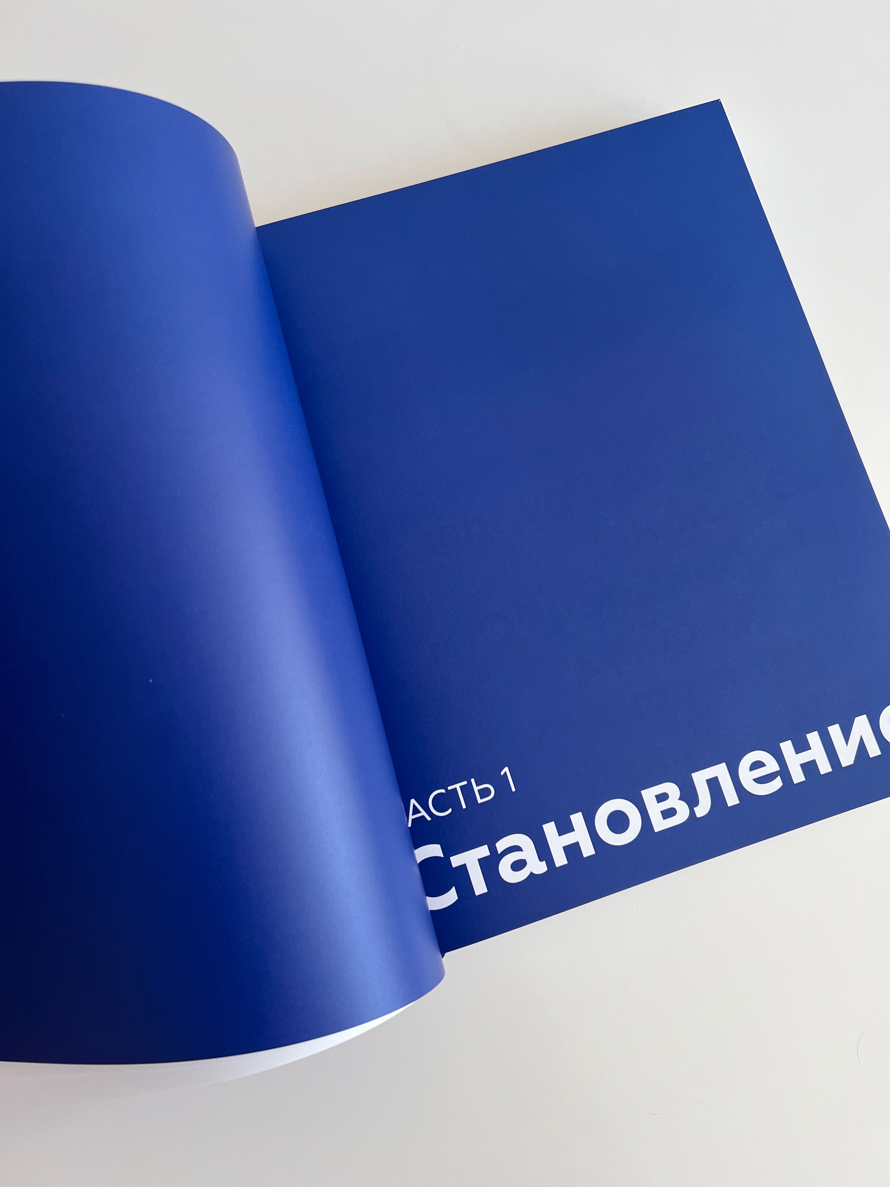 Книга к юбилею строительной компании Эталон — Изображение №3 — Графика на Dprofile