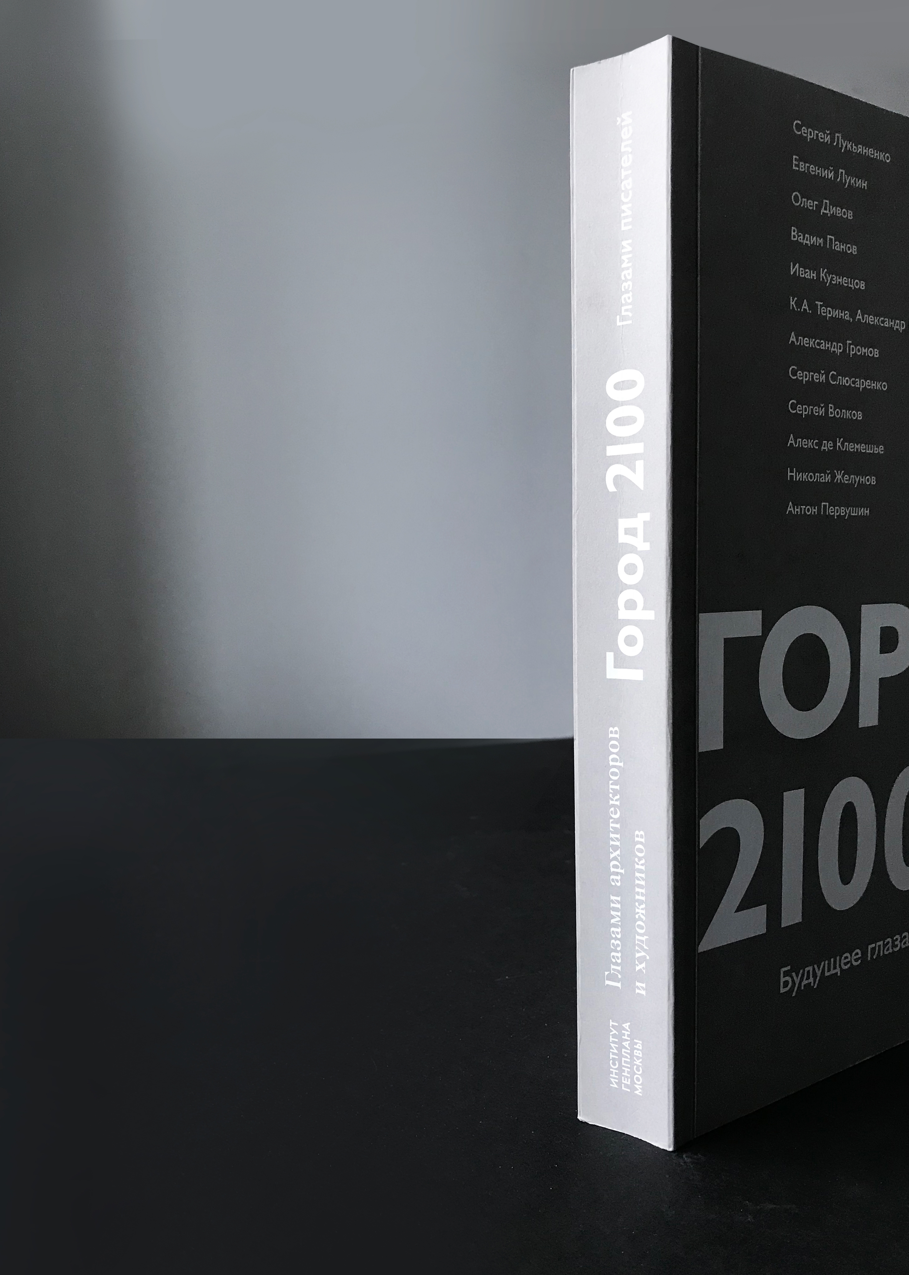 Институт Генплана Москвы. Книга "Город 2100" — Изображение №3 — Графика на Dprofile