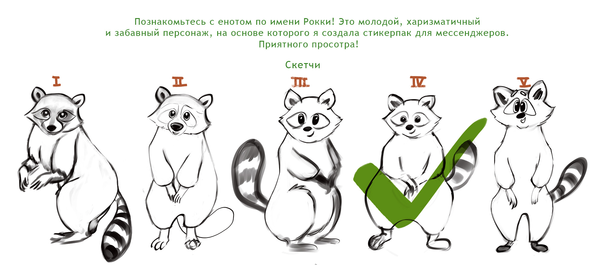 Стикерпак для телеграма "Енот Рокки" — Изображение №2 — Иллюстрация на Dprofile