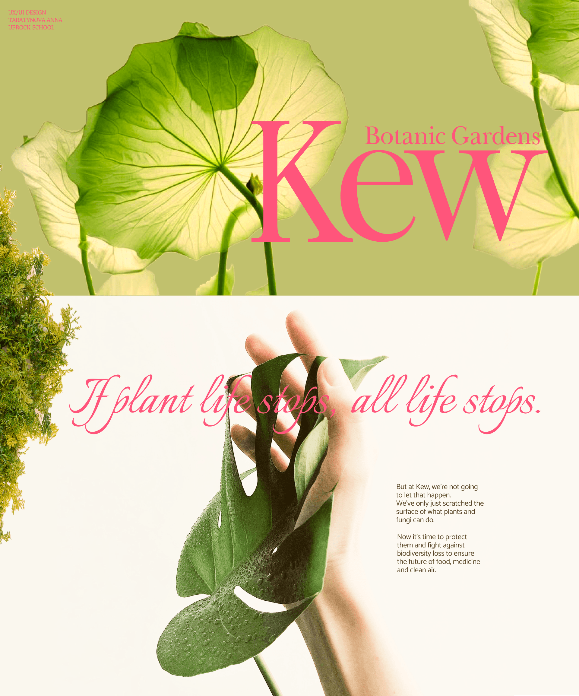 KEW Botanic Gardens — Изображение №1 — Интерфейсы на Dprofile