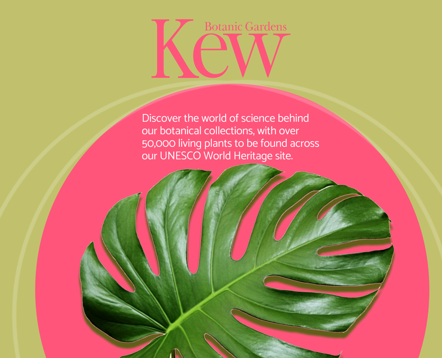 KEW Botanic Gardens на Dprofile