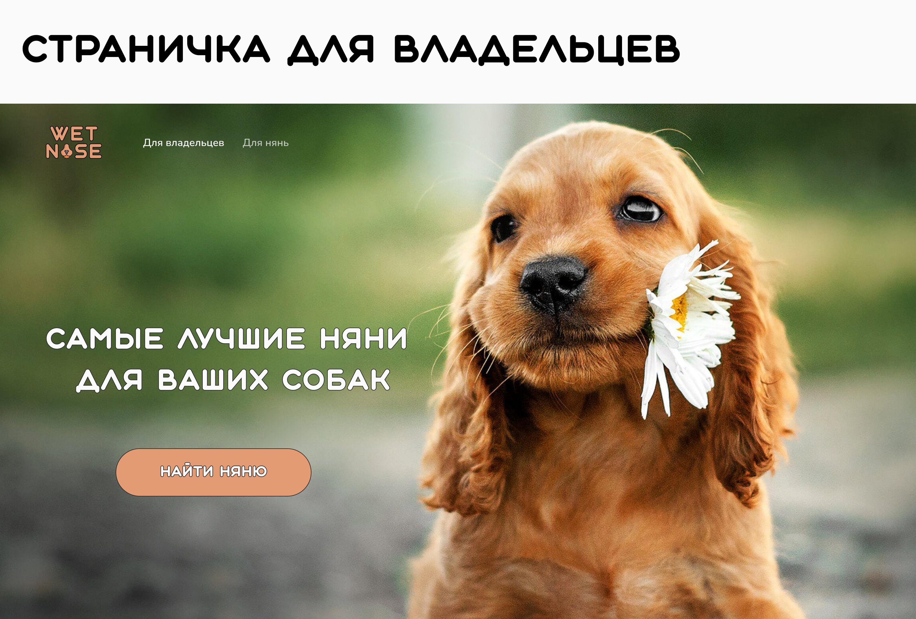 Landing page "Wet nose" — Изображение №2 — Интерфейсы на Dprofile