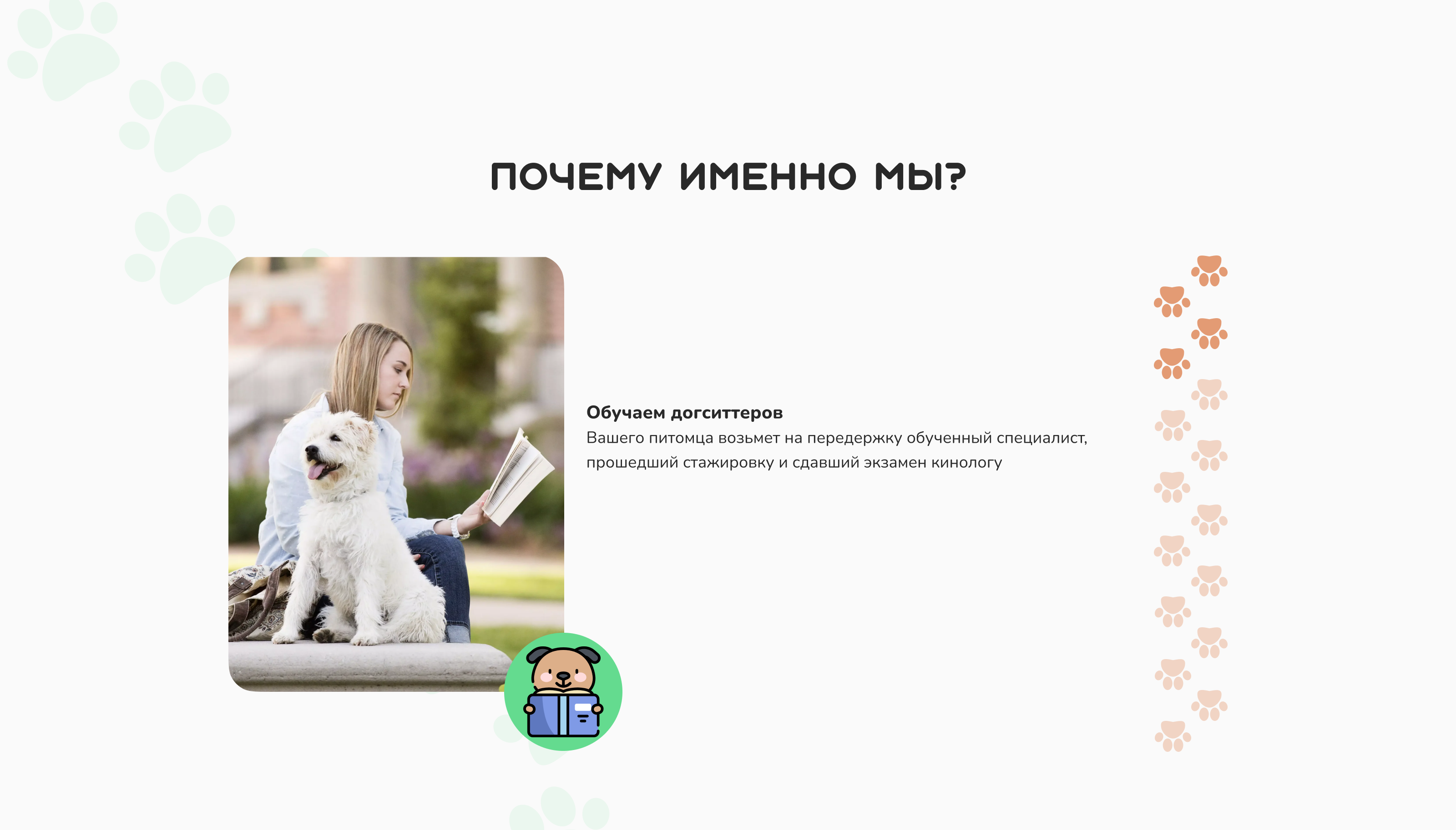 Landing page "Wet nose" — Изображение №5 — Интерфейсы на Dprofile