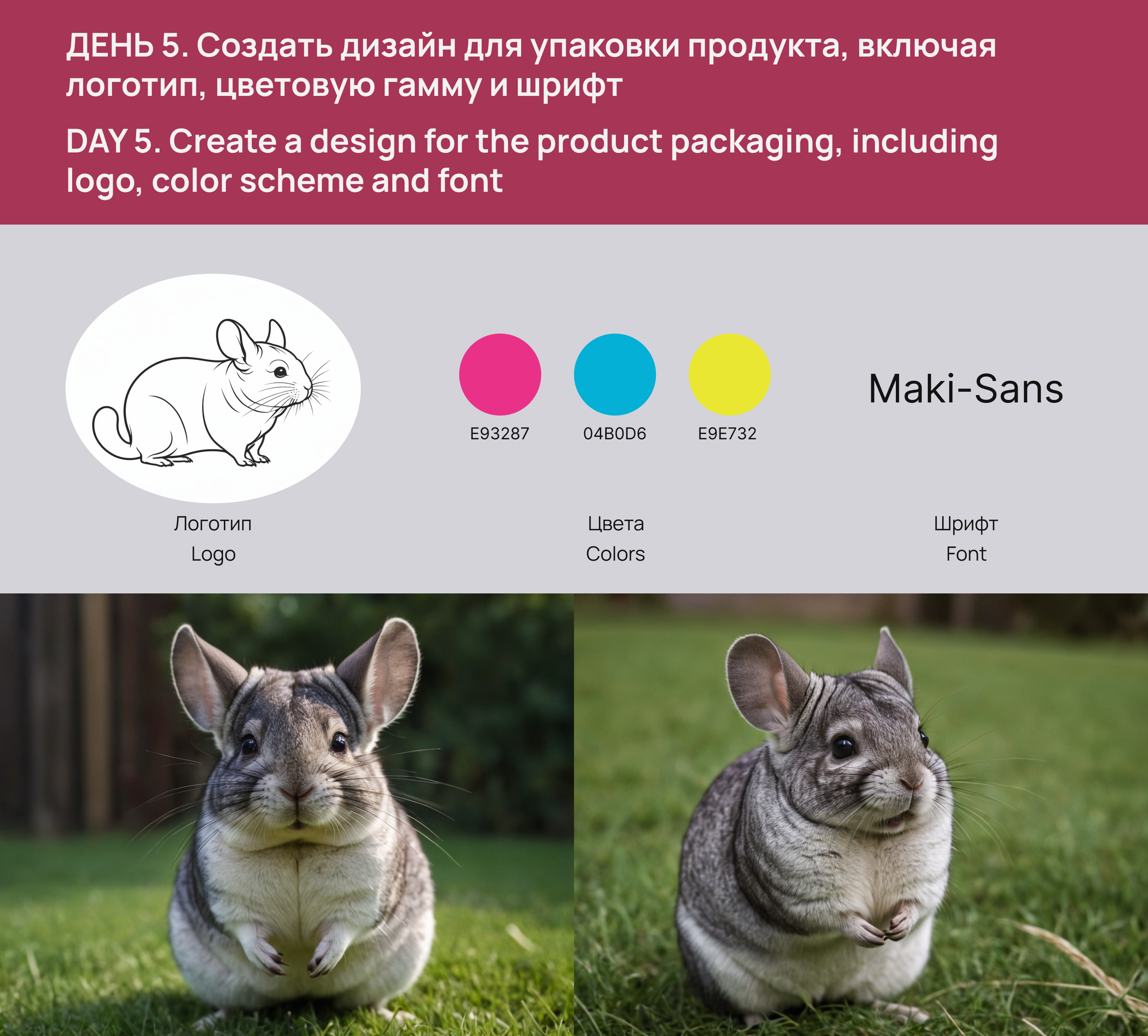Design Challenge part 1 — Изображение №8 — Графика на Dprofile