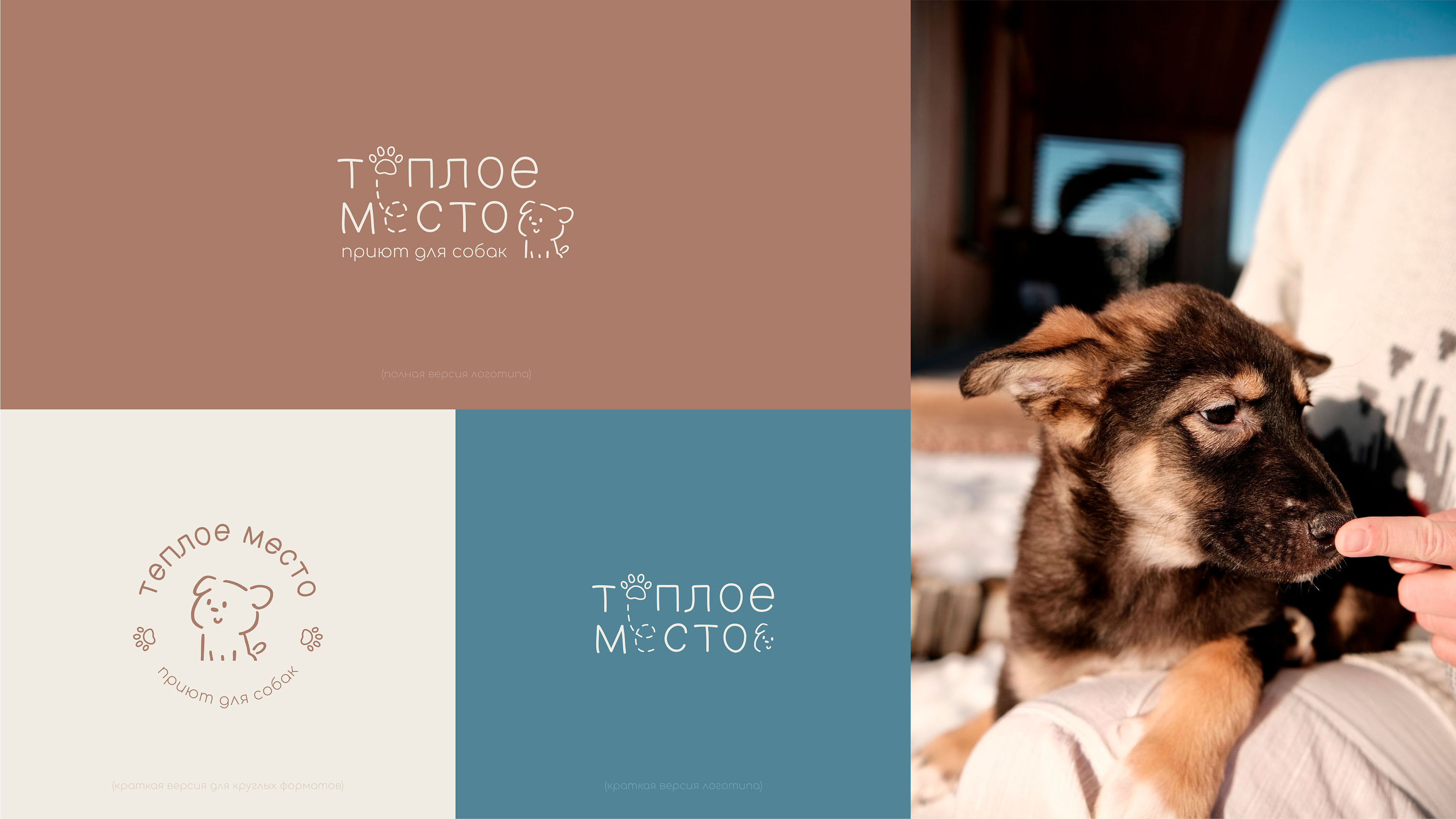Brand identity for a dog shelter — Изображение №4 — Брендинг на Dprofile