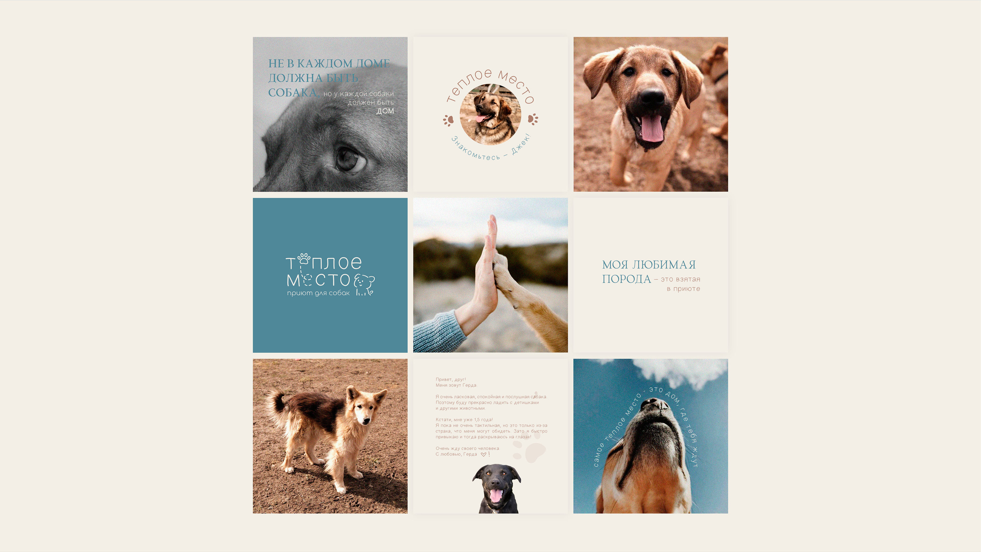 Brand identity for a dog shelter — Изображение №11 — Брендинг на Dprofile