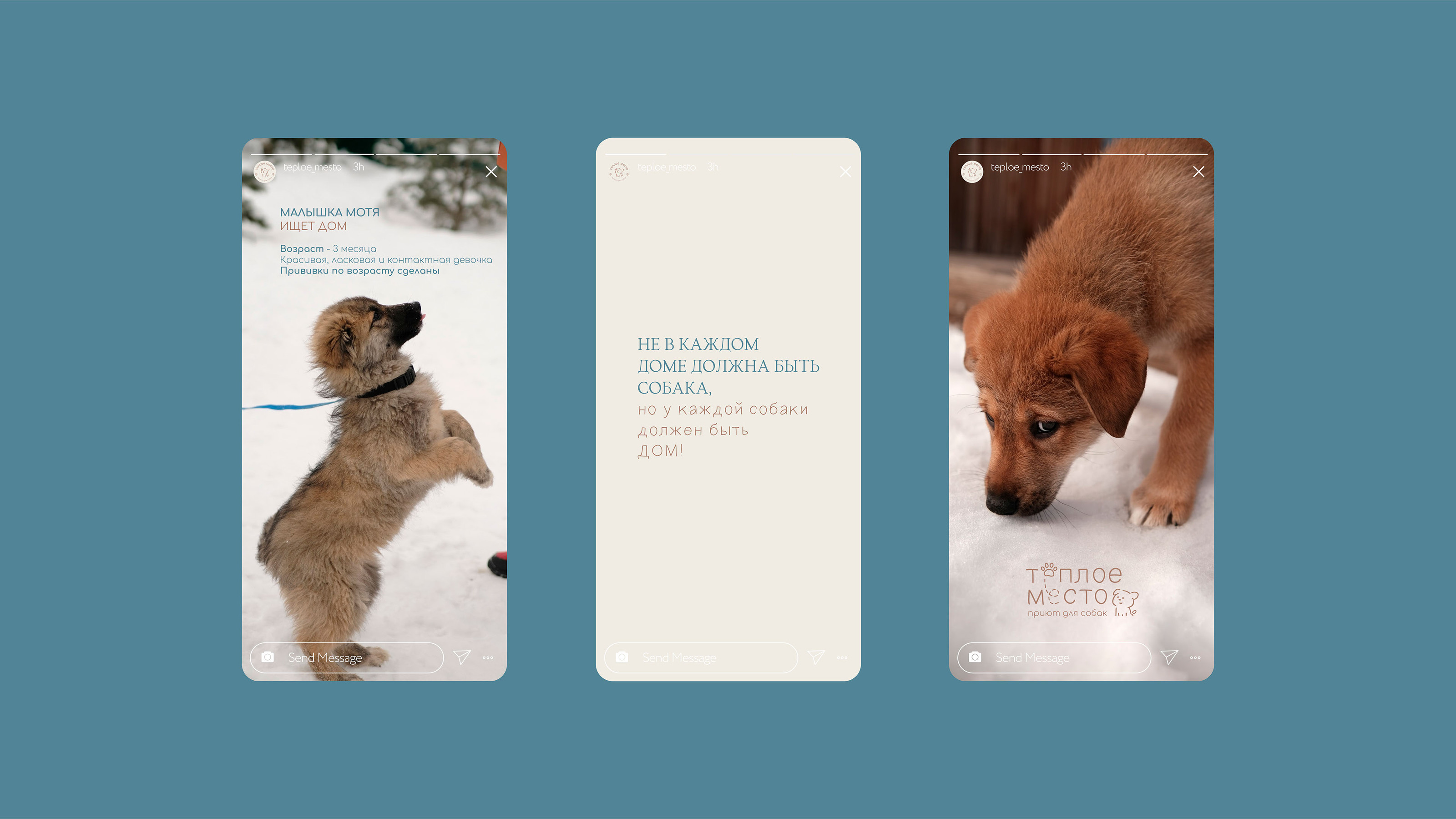 Brand identity for a dog shelter — Изображение №10 — Брендинг на Dprofile