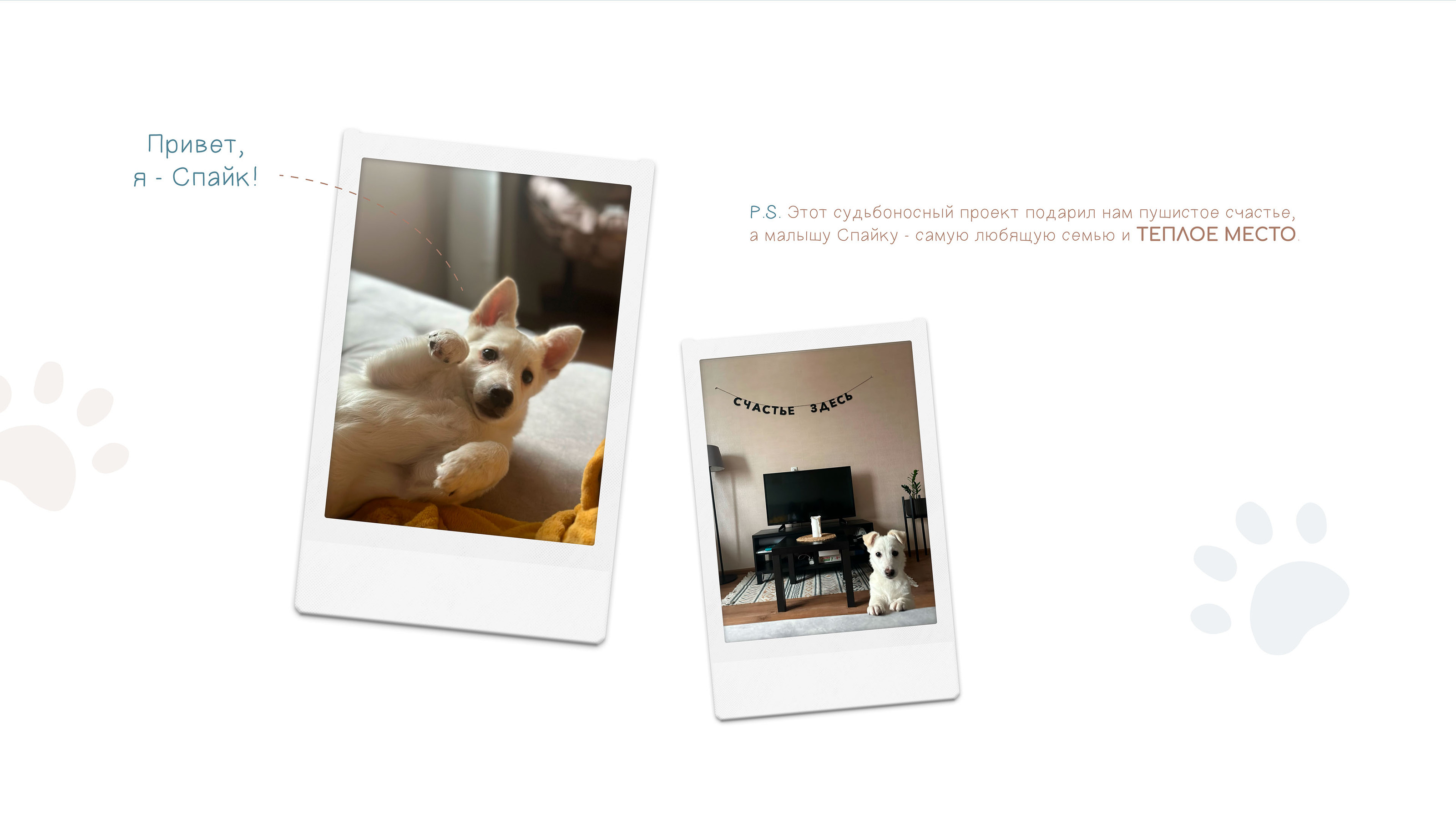 Brand identity for a dog shelter — Изображение №18 — Брендинг на Dprofile