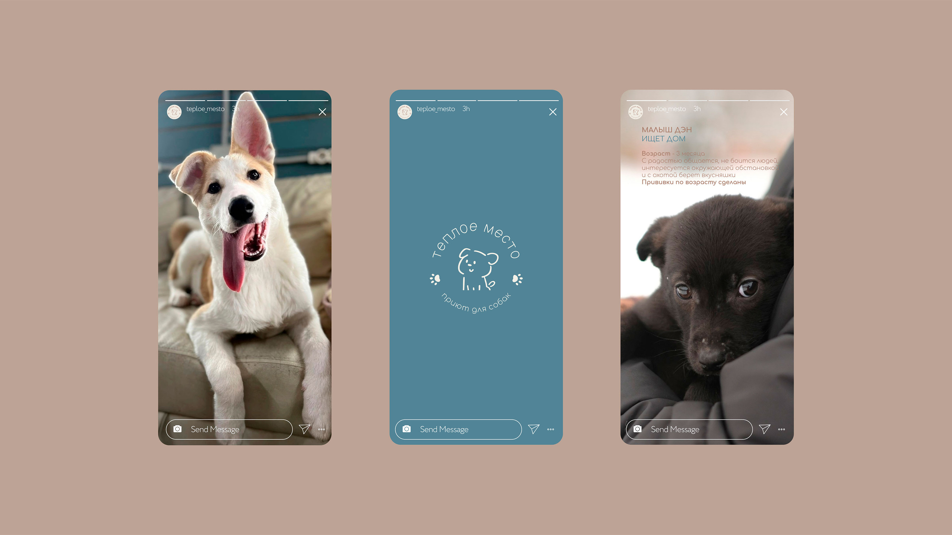 Brand identity for a dog shelter — Изображение №12 — Брендинг на Dprofile
