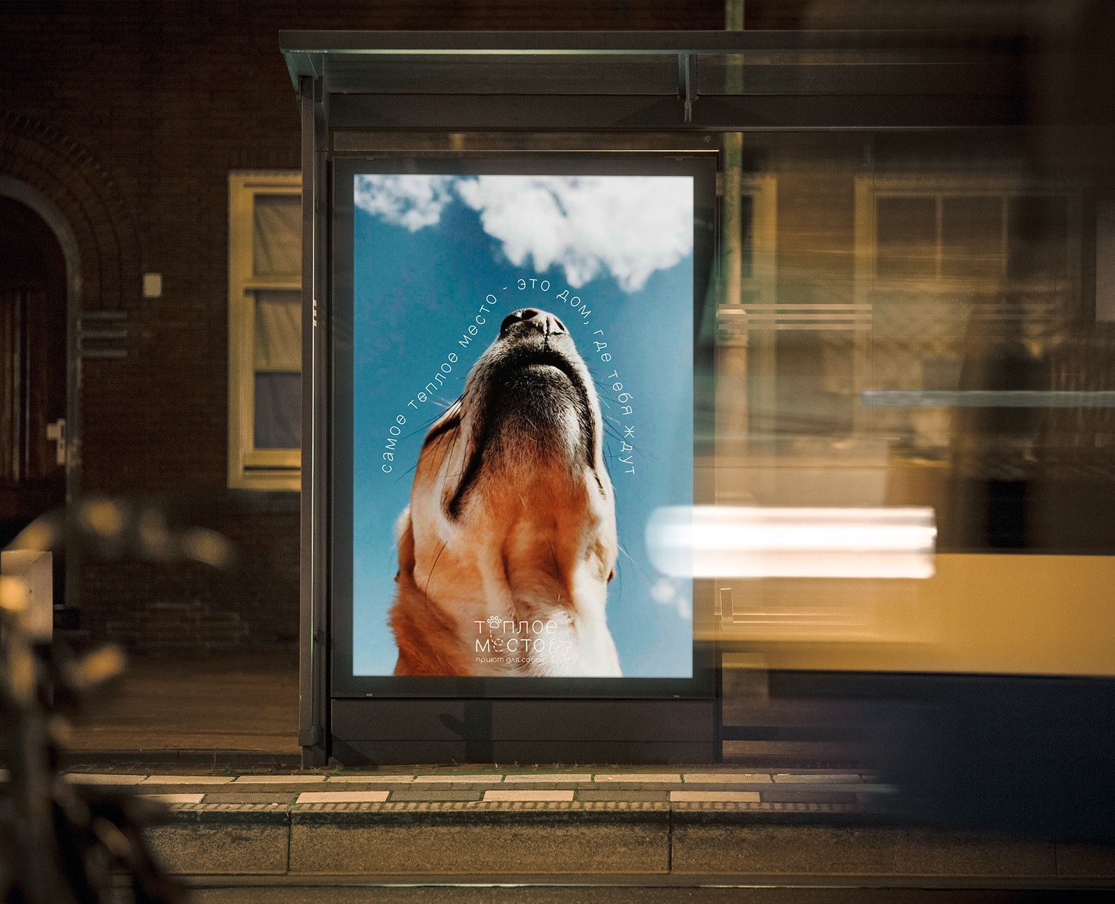 Brand identity for a dog shelter — Брендинг на Dprofile