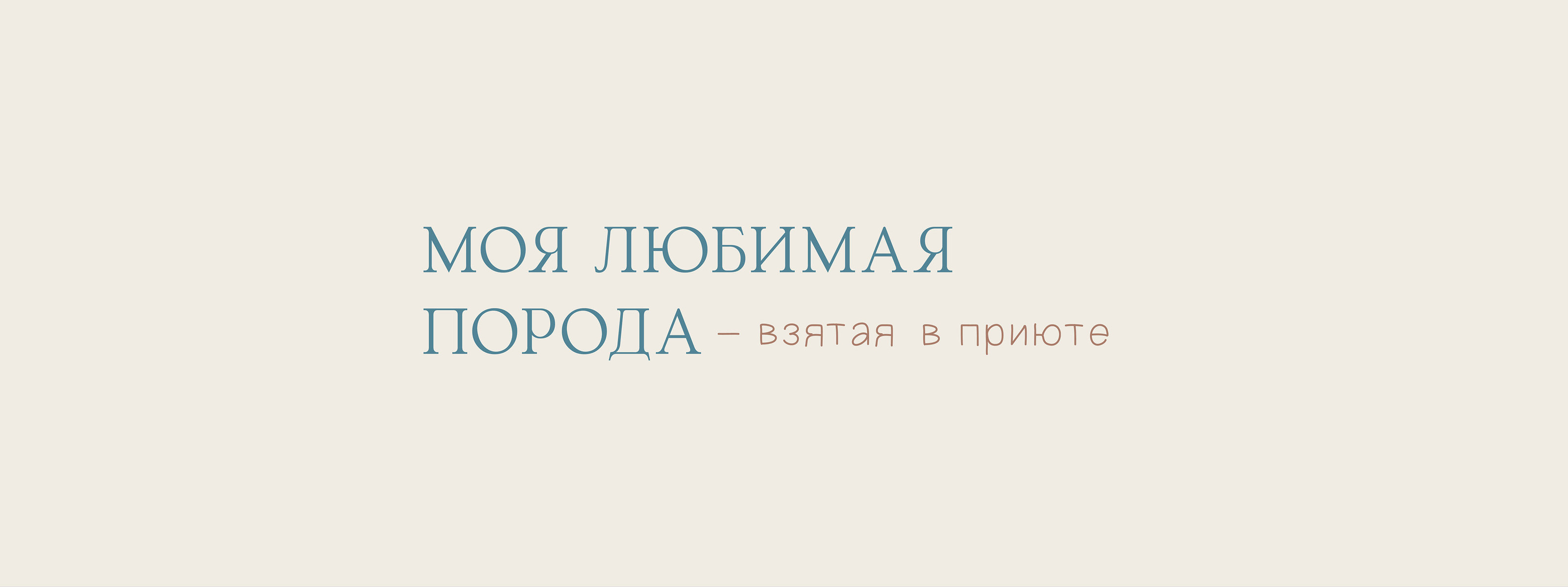 Brand identity for a dog shelter — Изображение №9 — Брендинг на Dprofile