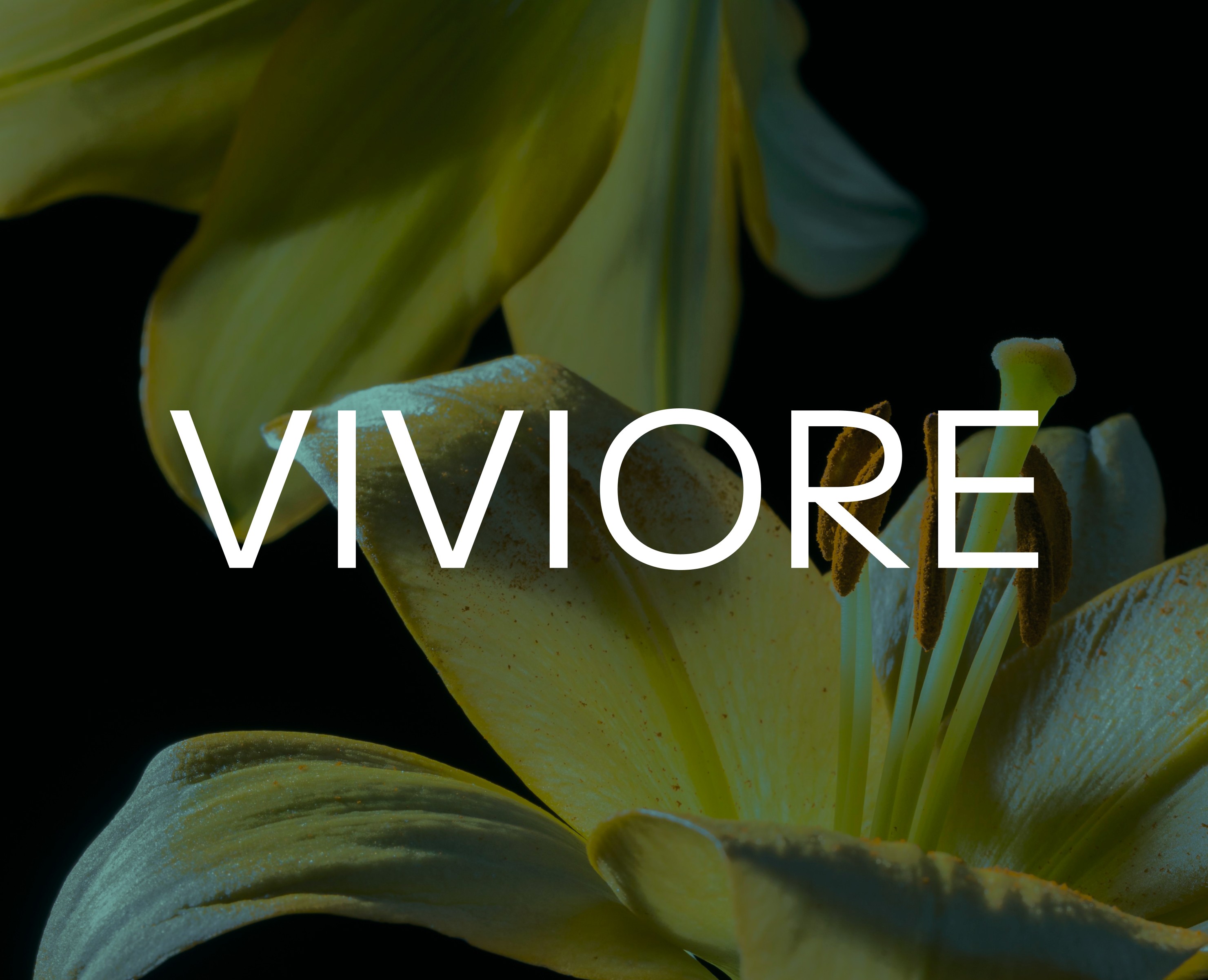 VIVIORE | Design concept — Интерфейсы на Dprofile
