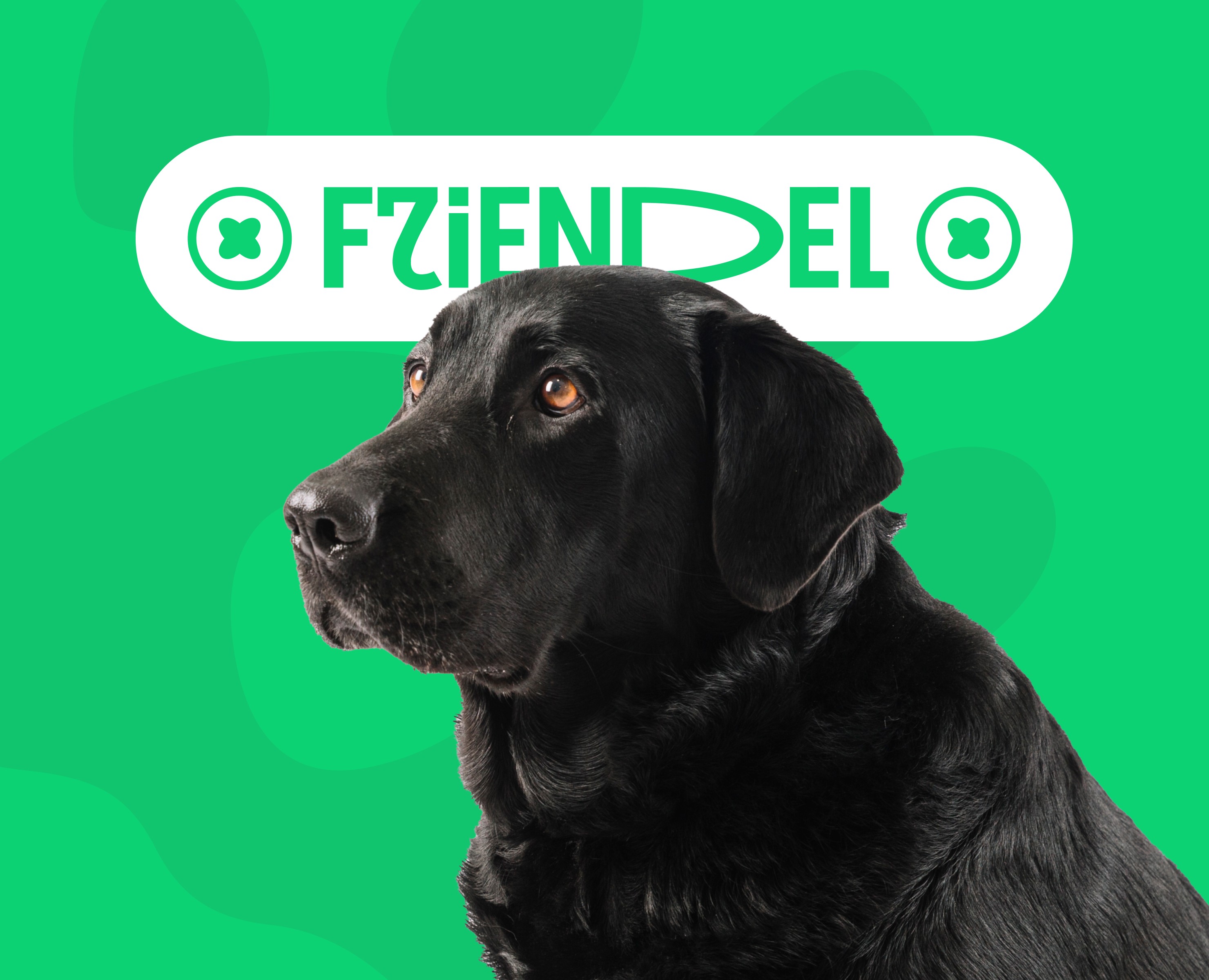 FRIENDEL | Vet clinic — Интерфейсы на Dprofile