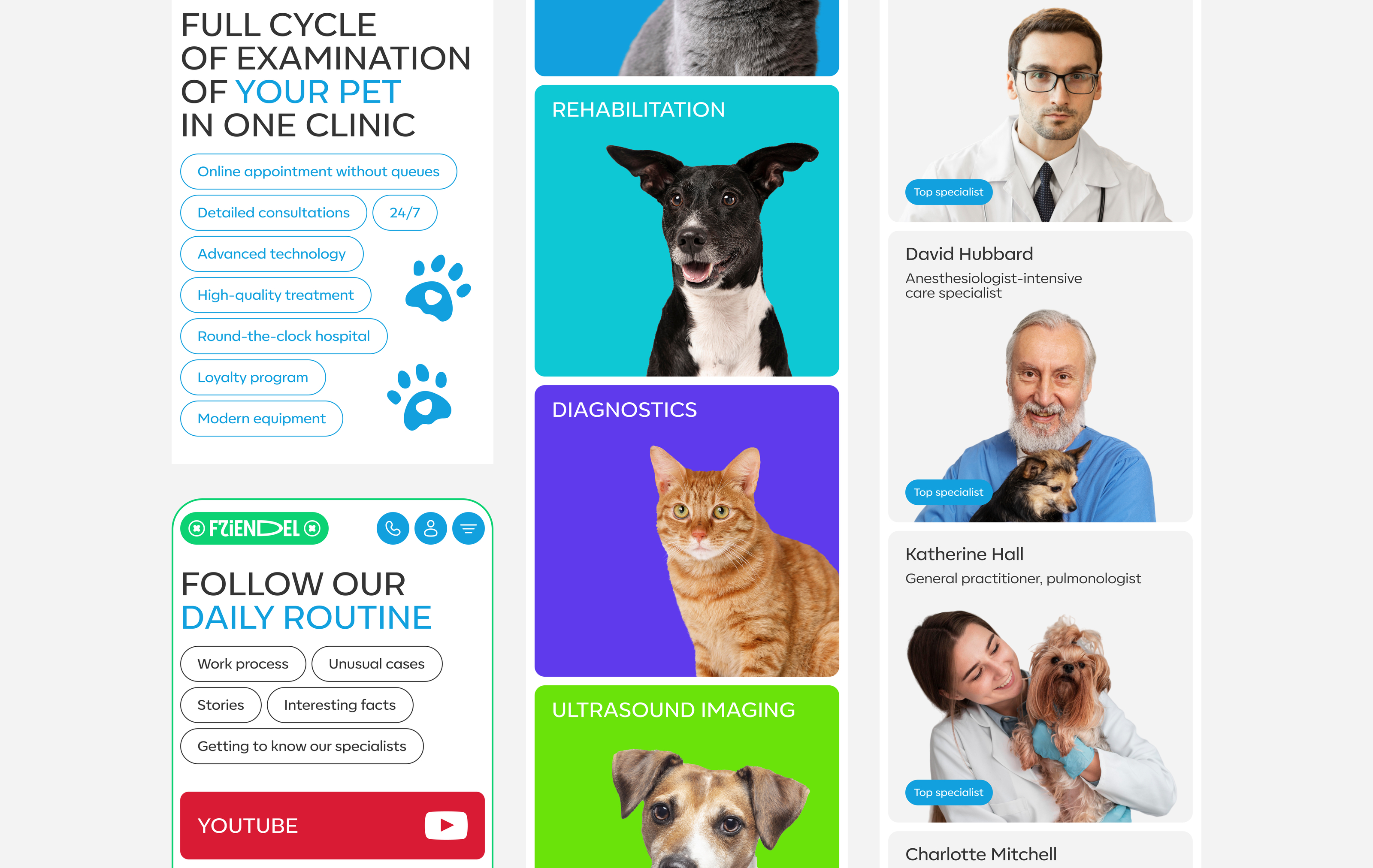 FRIENDEL | Vet clinic — Изображение №12 — Интерфейсы на Dprofile