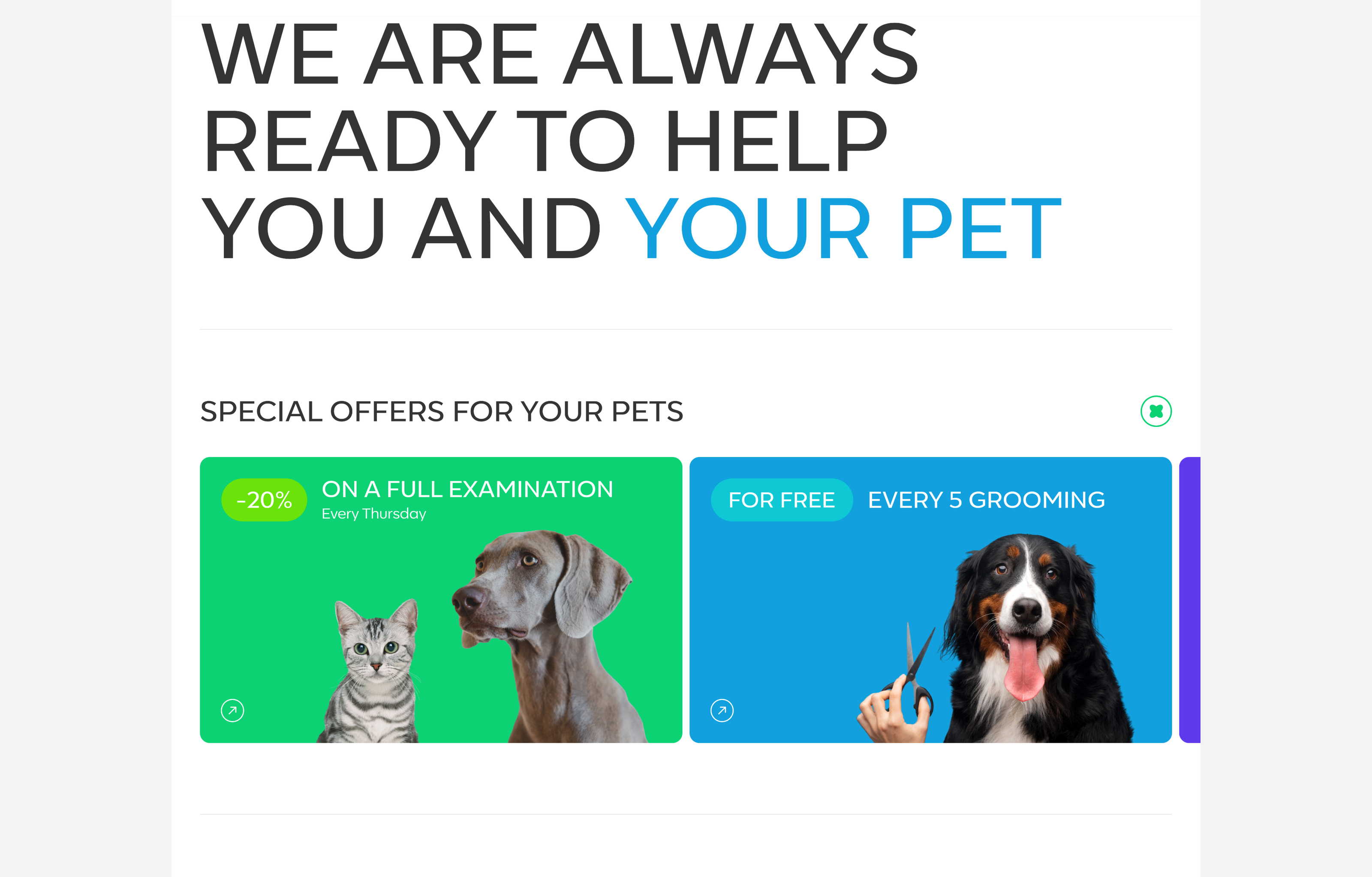 FRIENDEL | Vet clinic — Изображение №6 — Интерфейсы на Dprofile