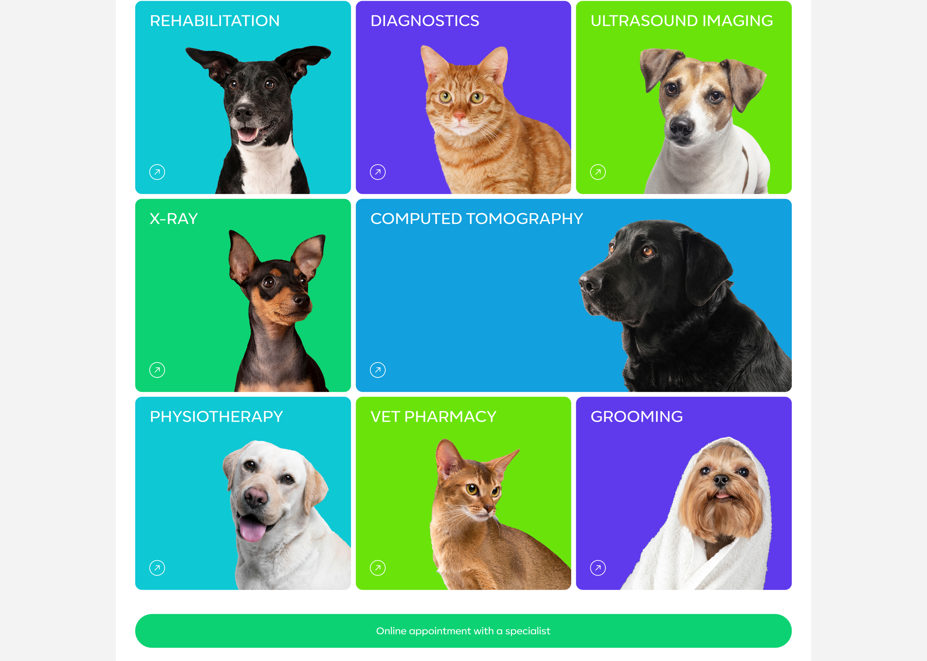 FRIENDEL | Vet clinic — Изображение №4 — Интерфейсы на Dprofile
