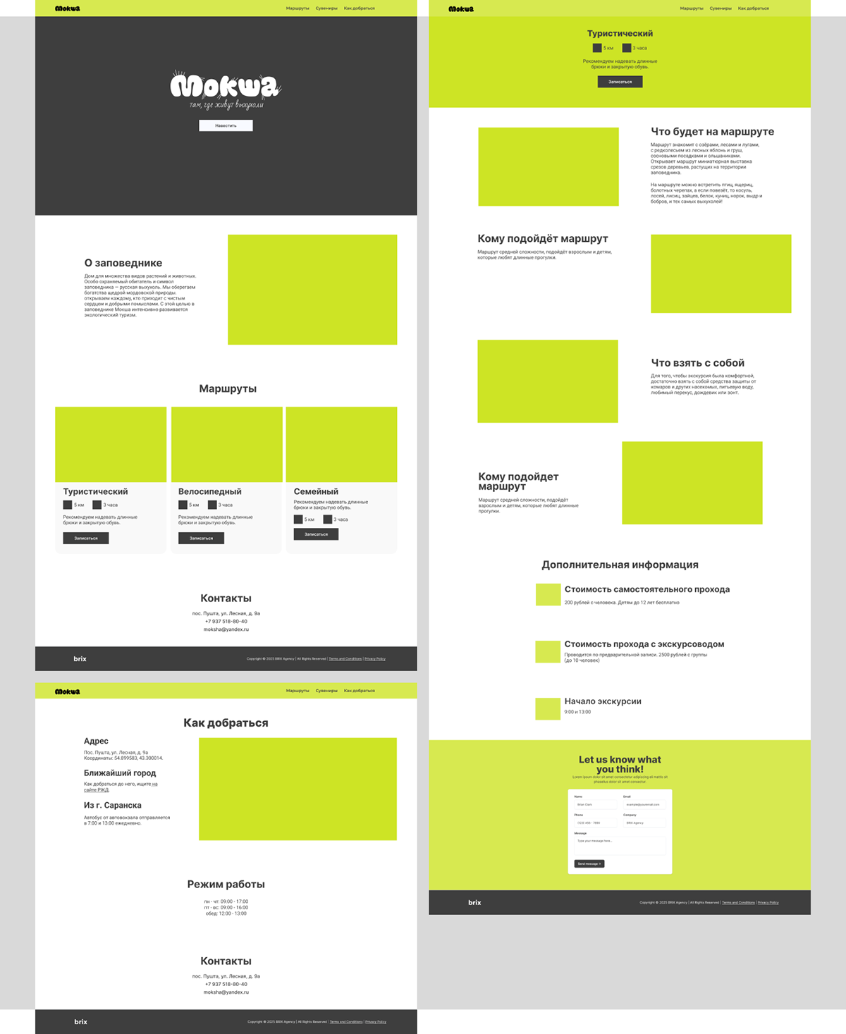 Сайт и мерч для заповедника «Мокша» — Изображение №6 — Интерфейсы, Брендинг на Dprofile