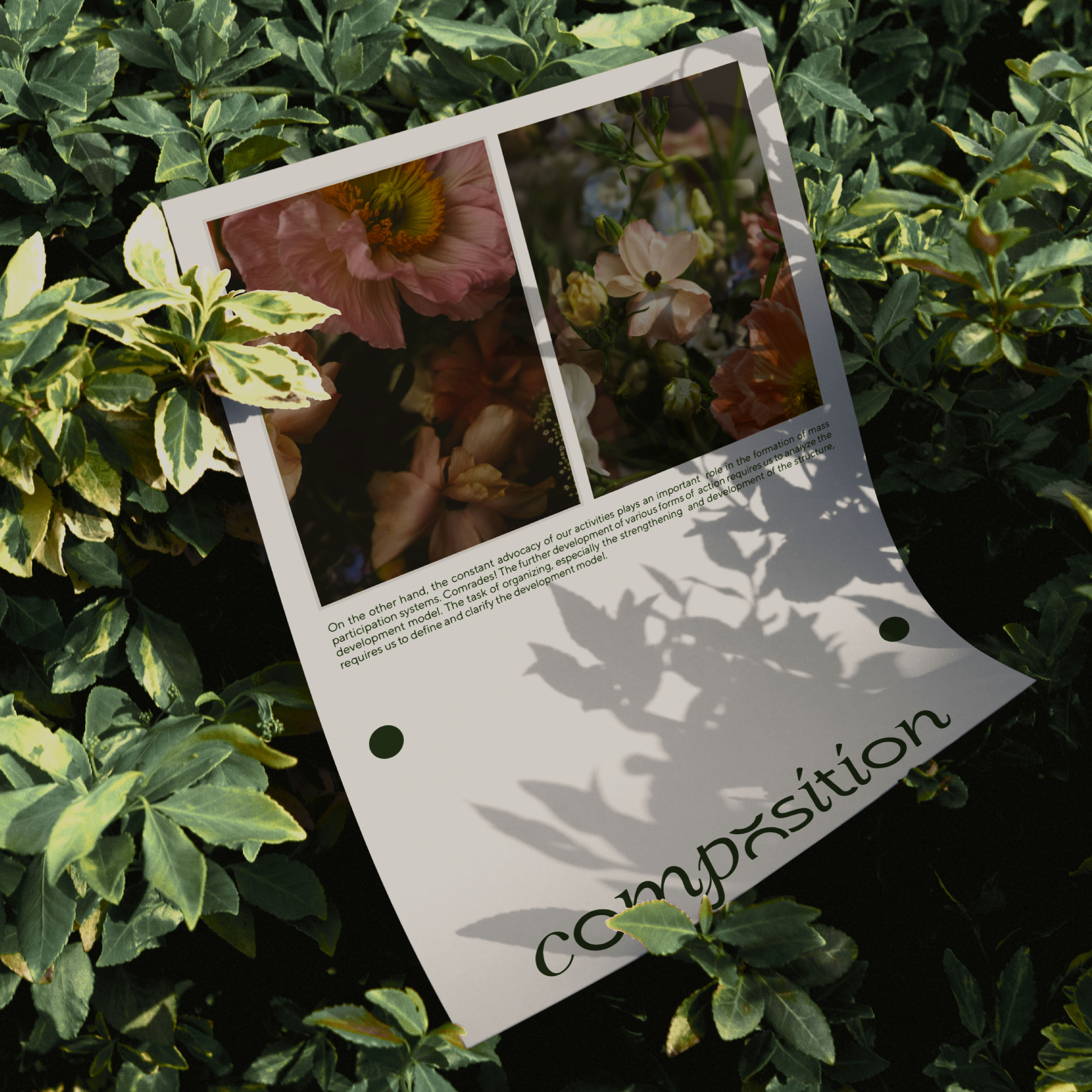 COMPOSITION | BRAND IDENTITY — Изображение №1 — Брендинг, Графика на Dprofile