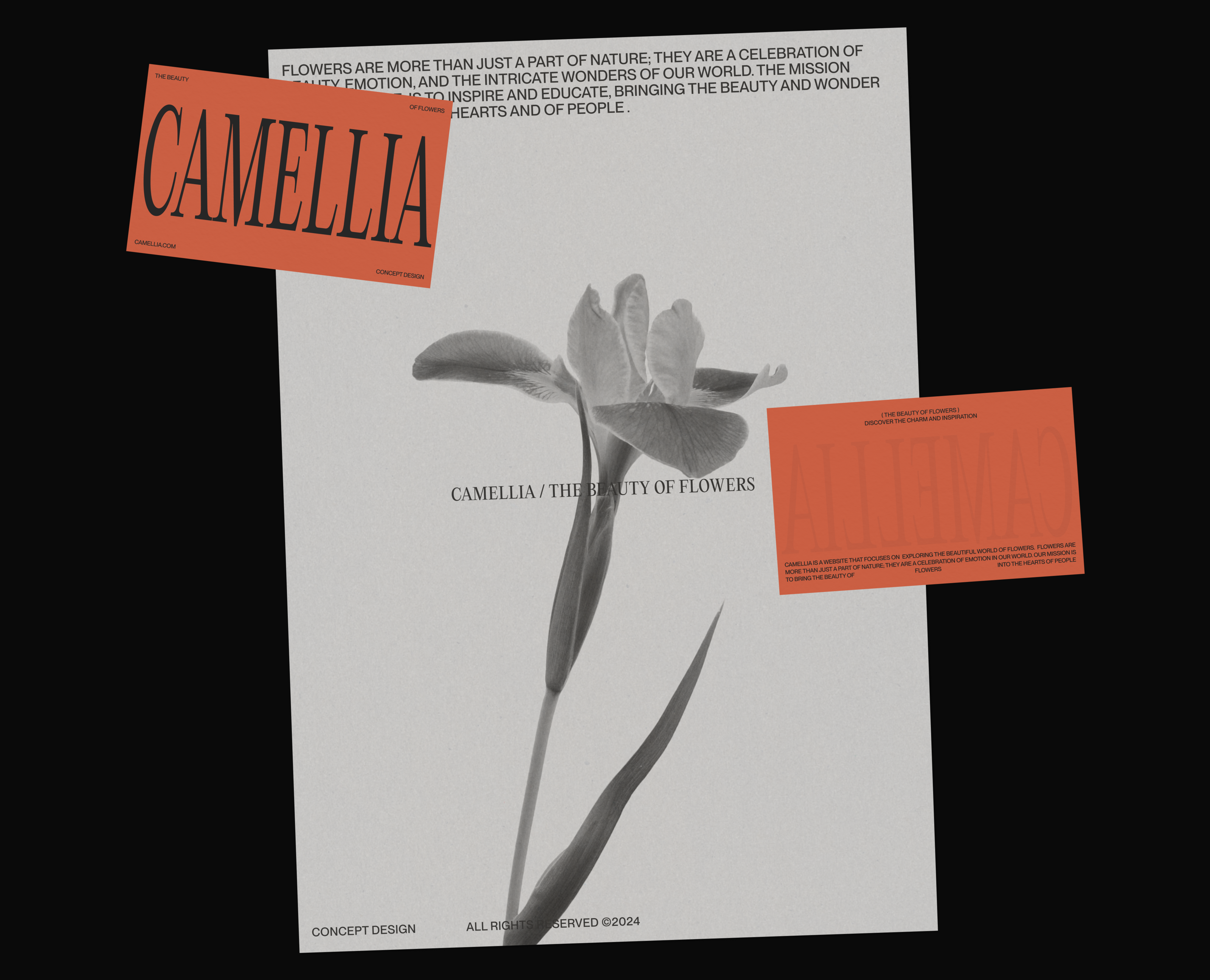 CAMELLIA, The beauty of flowers — Интерфейсы, Брендинг на Dprofile