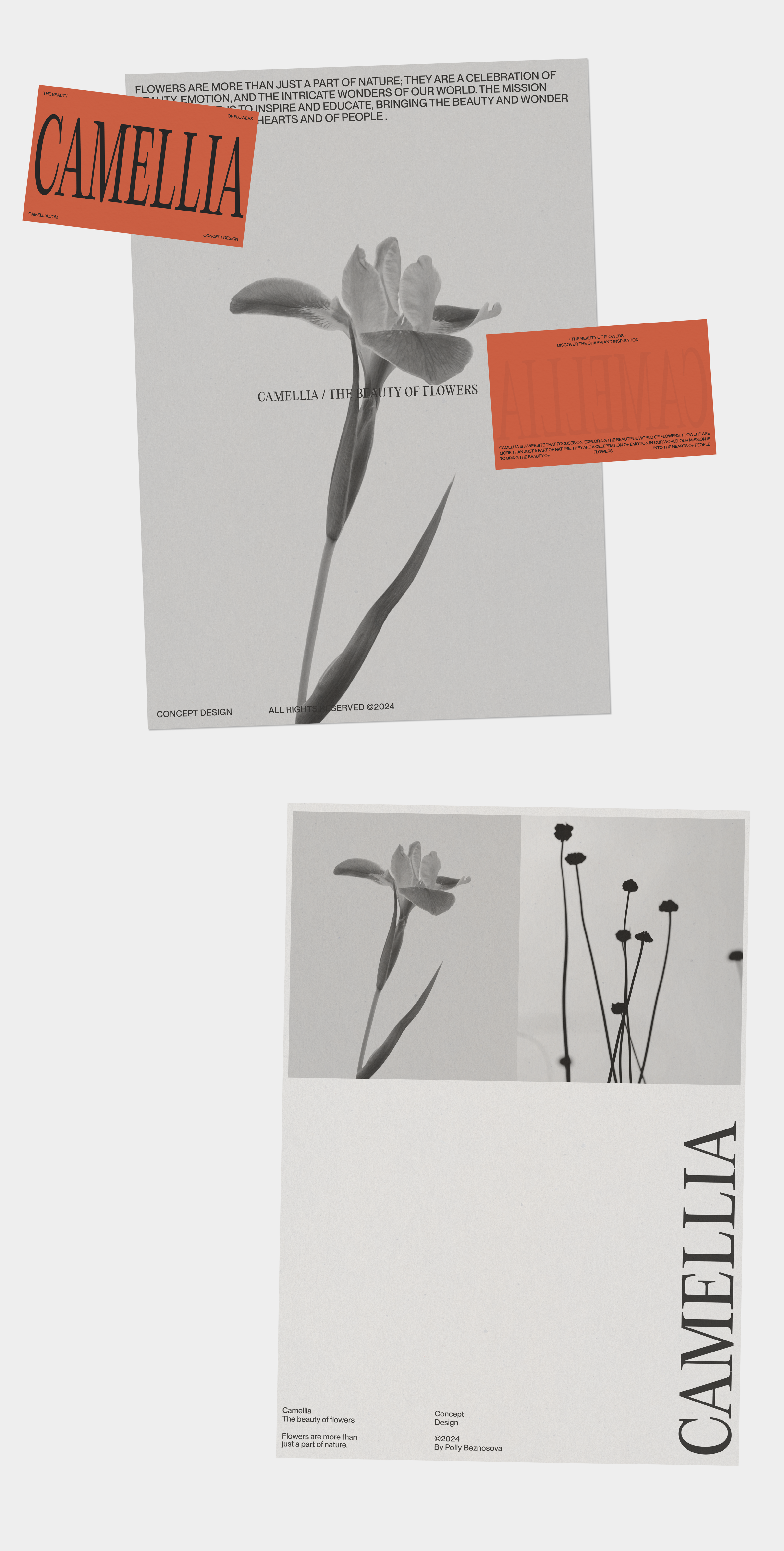 CAMELLIA, The beauty of flowers — Изображение №8 — Интерфейсы, Брендинг на Dprofile