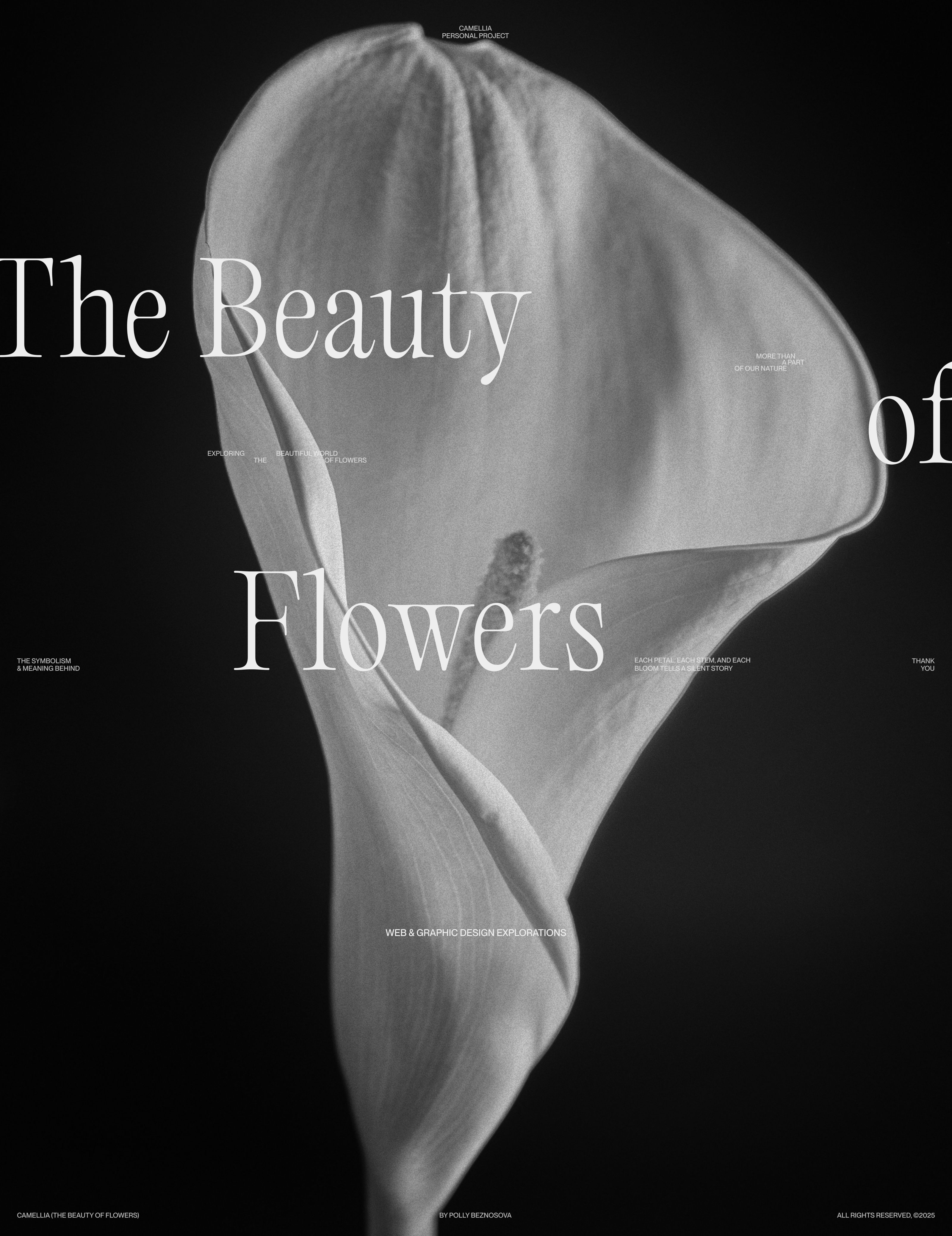 CAMELLIA, The beauty of flowers — Изображение №9 — Интерфейсы, Брендинг на Dprofile